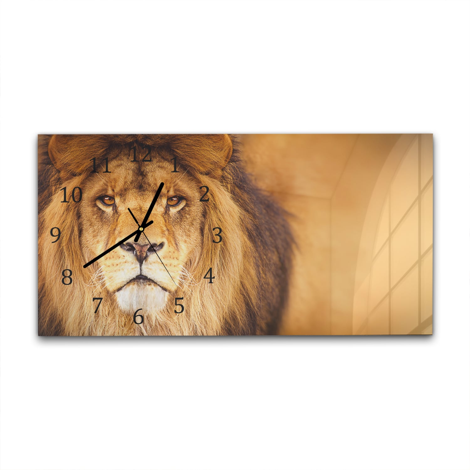 Wanduhr 60x30 - Afrikanischer Löwe