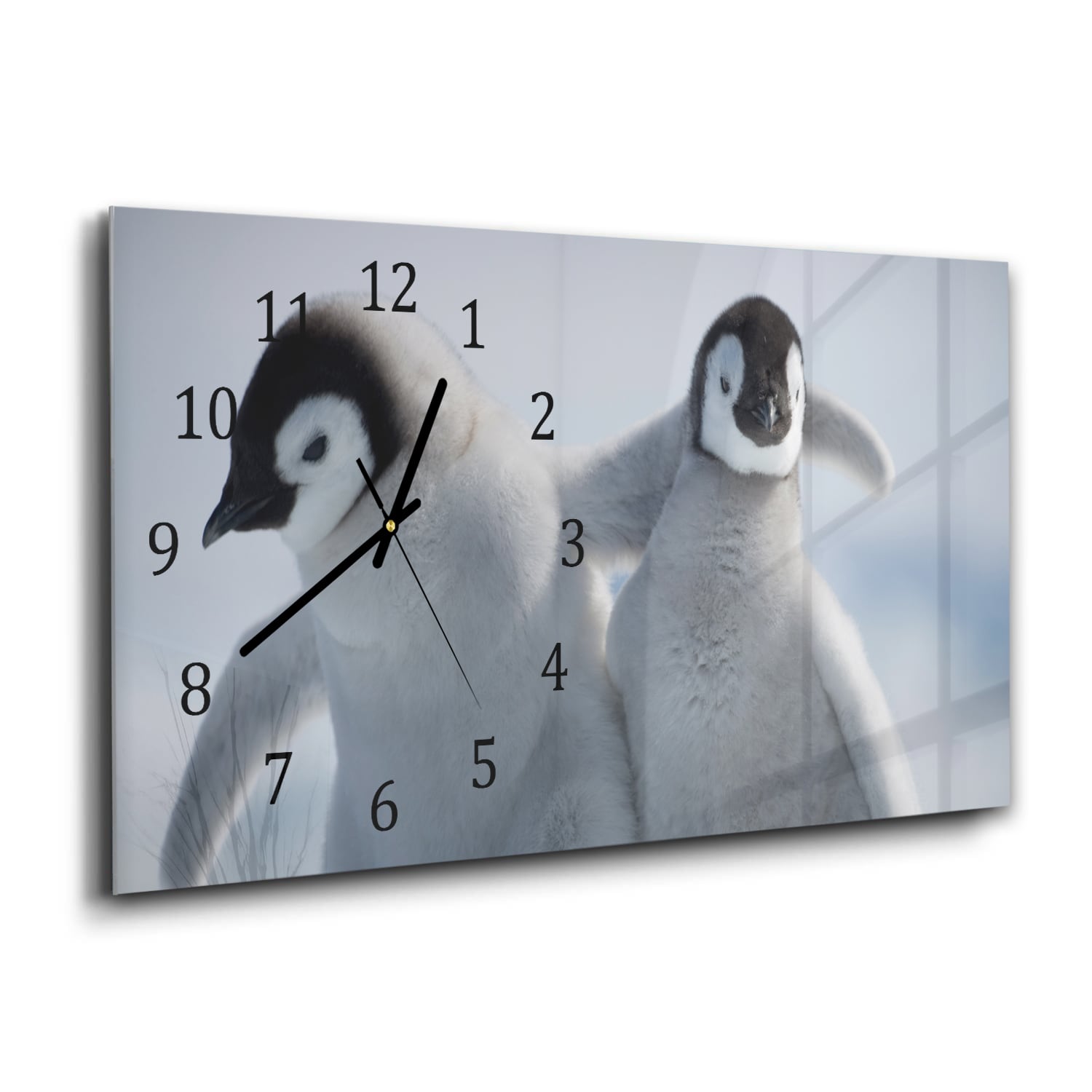 Wanduhr 60x30 - Kaiserpinguin-Küken
