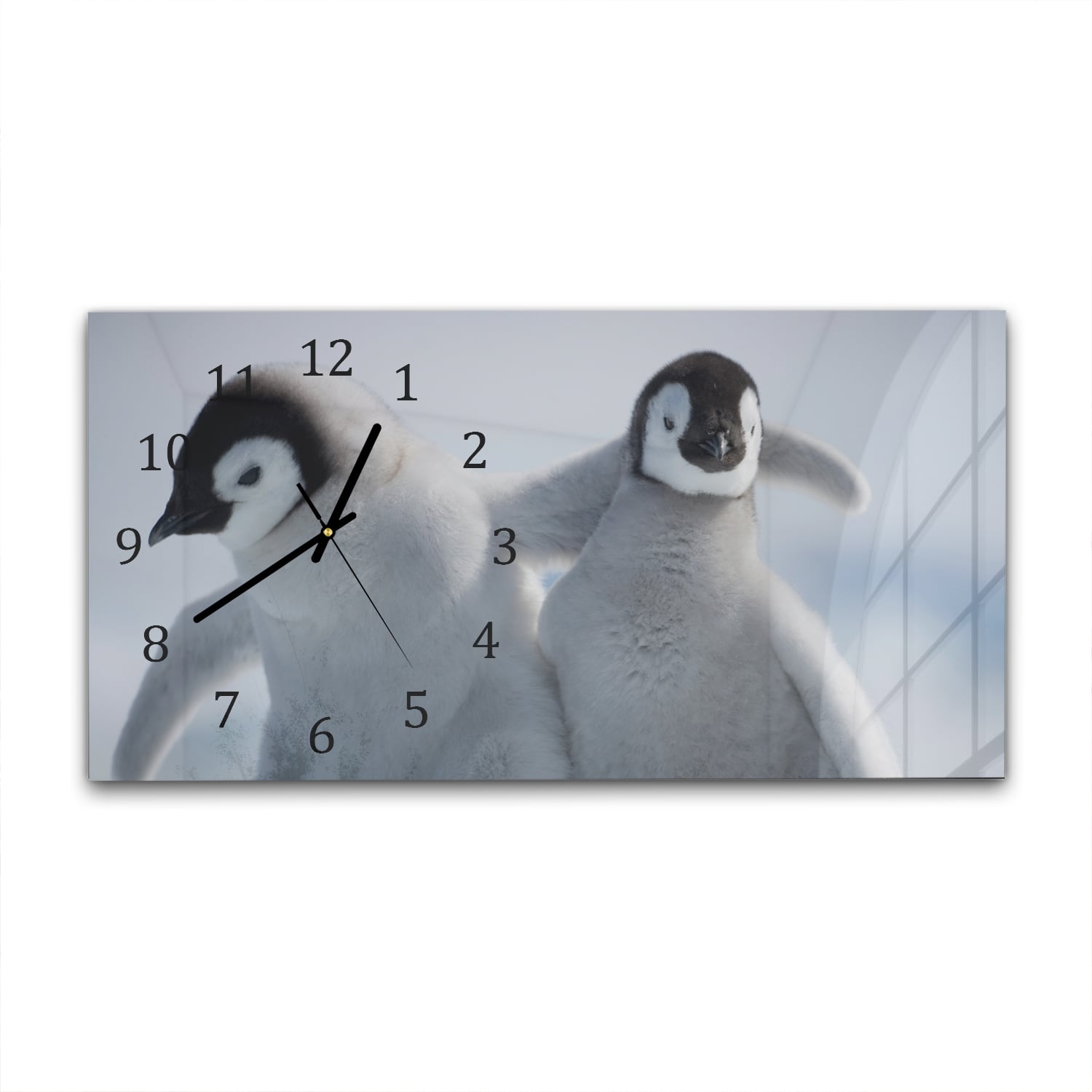 Wanduhr 60x30 - Kaiserpinguin-Küken
