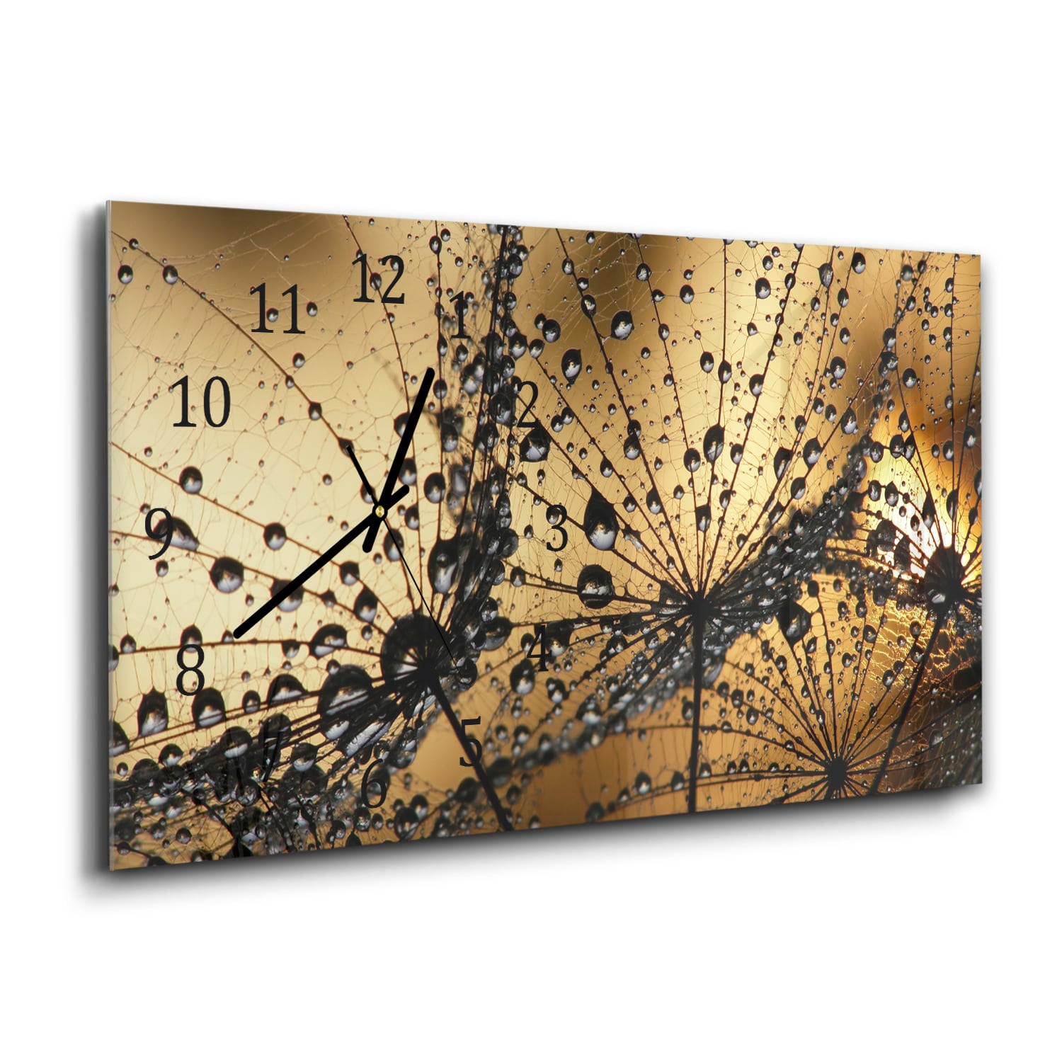 Wanduhr 60x30 - Nasser Löwenzahnsamen