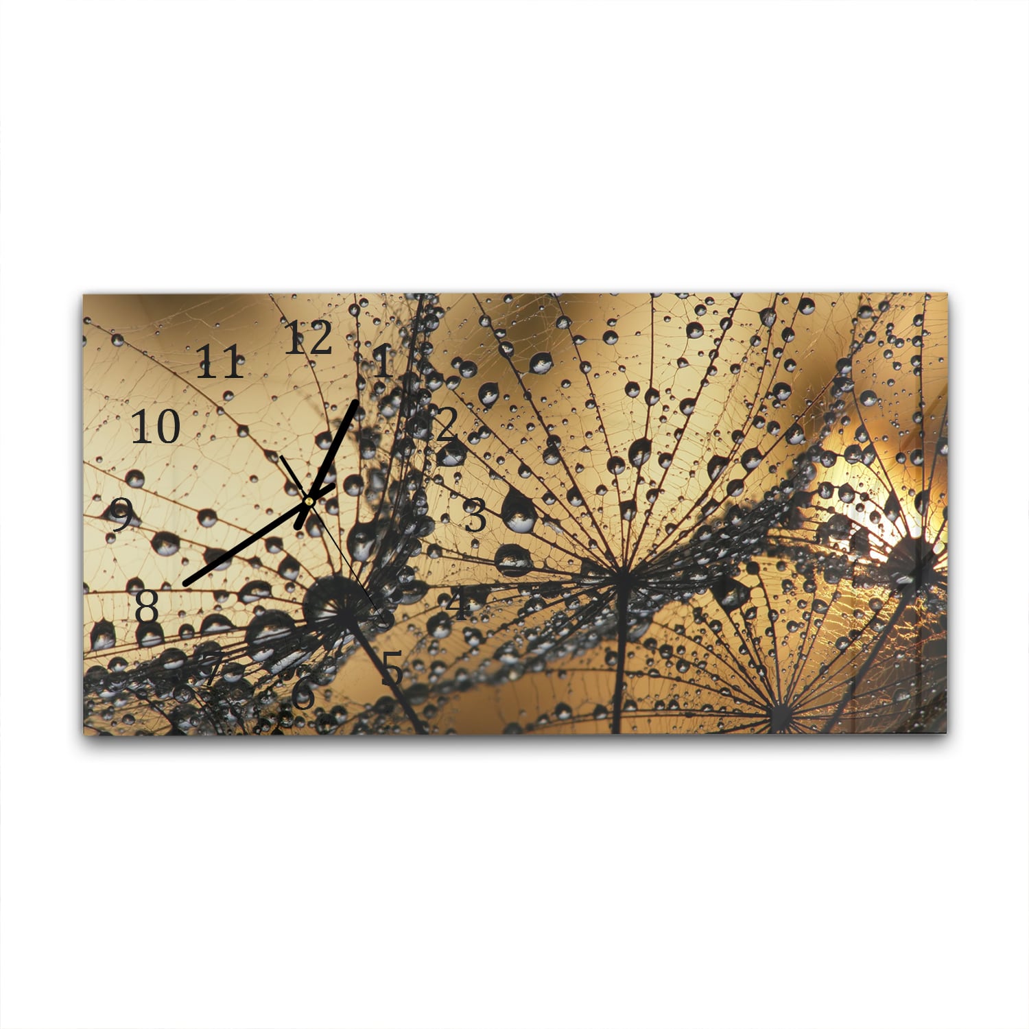 Wanduhr 60x30 - Nasser Löwenzahnsamen