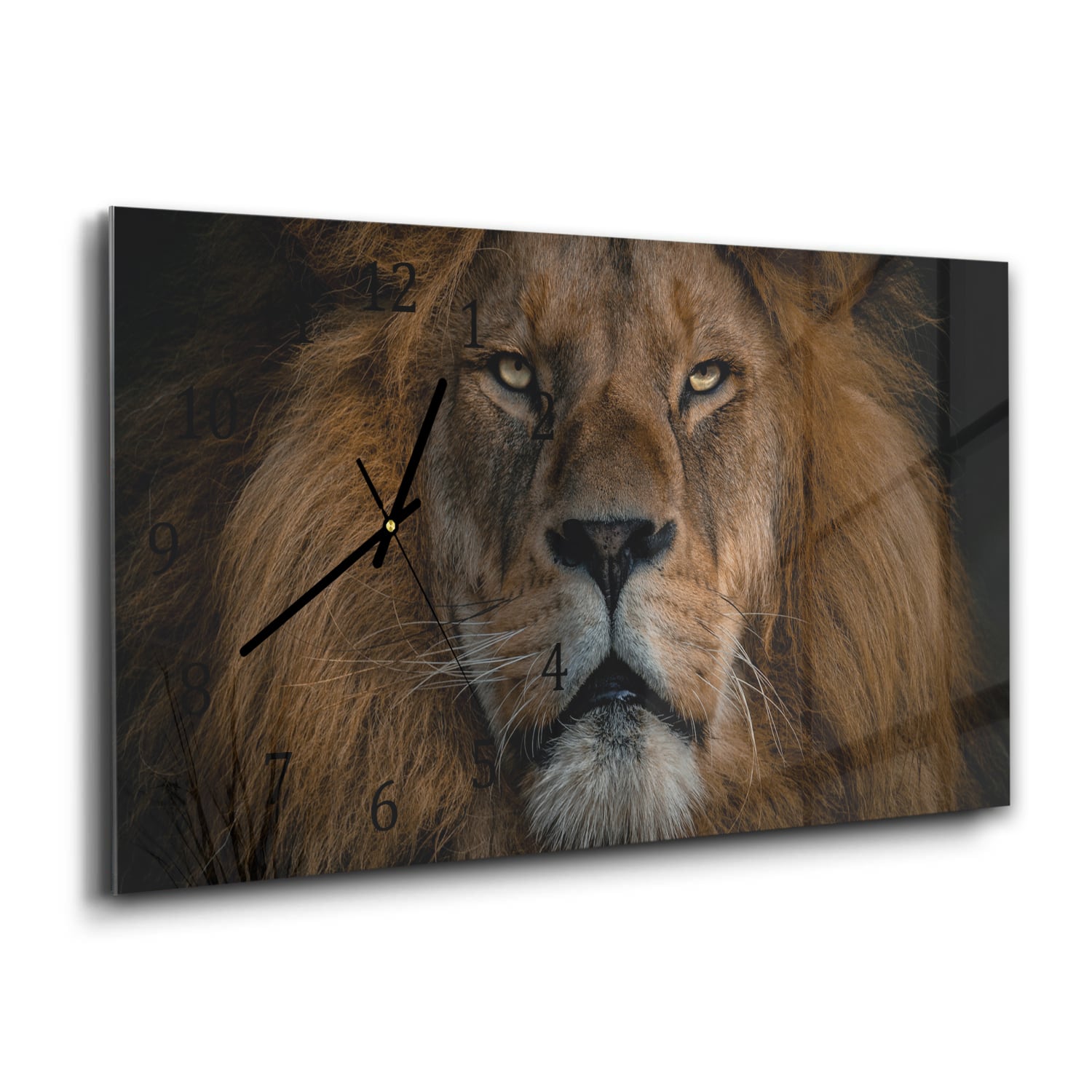 Wanduhr 60x30 - Löwe in Nahaufnahme