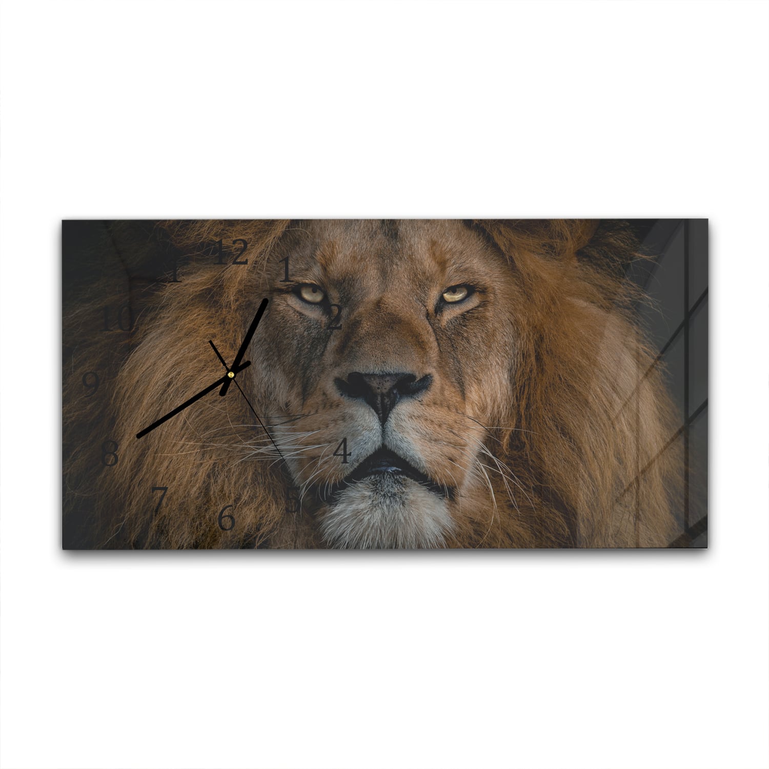 Wanduhr 60x30 - Löwe in Nahaufnahme
