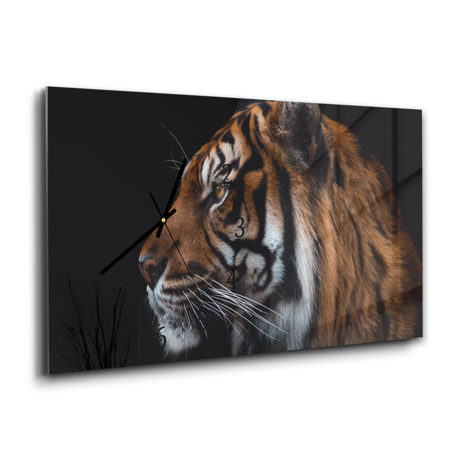 Wanduhr 60x30 - Tiger-Seitenporträt