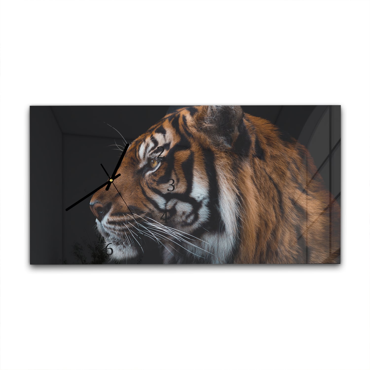 Wanduhr 60x30 - Tiger-Seitenporträt