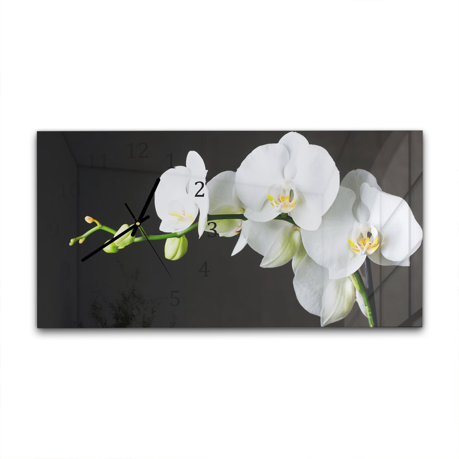 Wanduhr 60x30 - Weiße Orchideen