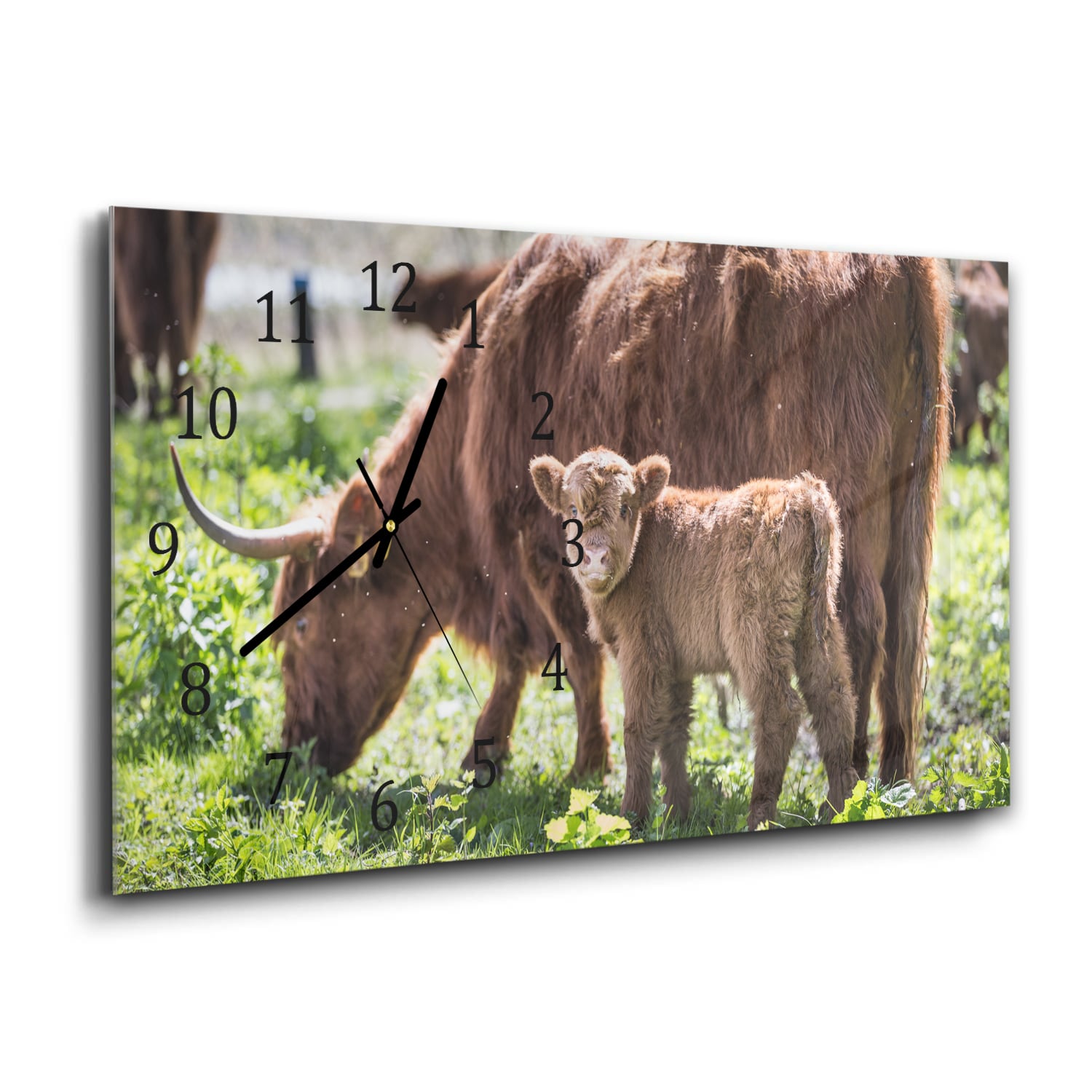 Wanduhr 60x30 - Mutter und Kalb