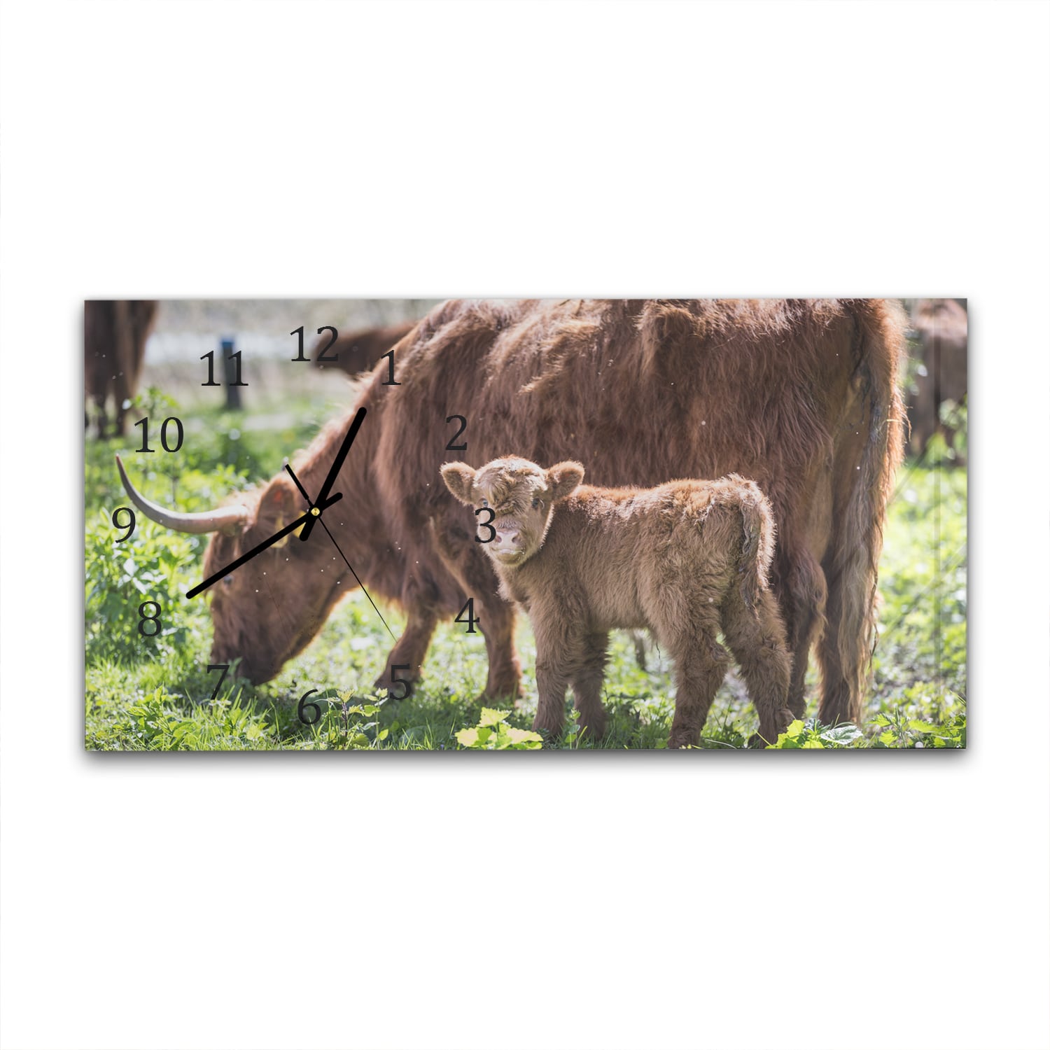 Wanduhr 60x30 - Mutter und Kalb