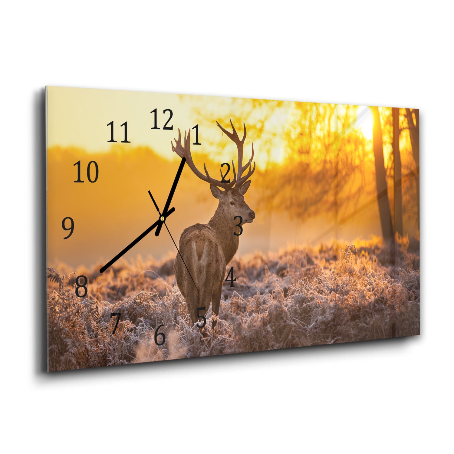 Wanduhr 60x30 - Edelhirsch in der Morgensonne