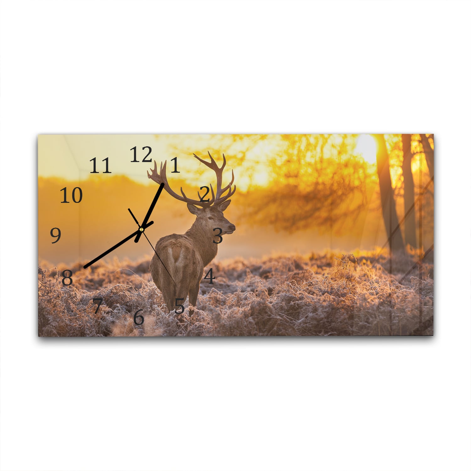 Wanduhr 60x30 - Edelhirsch in der Morgensonne