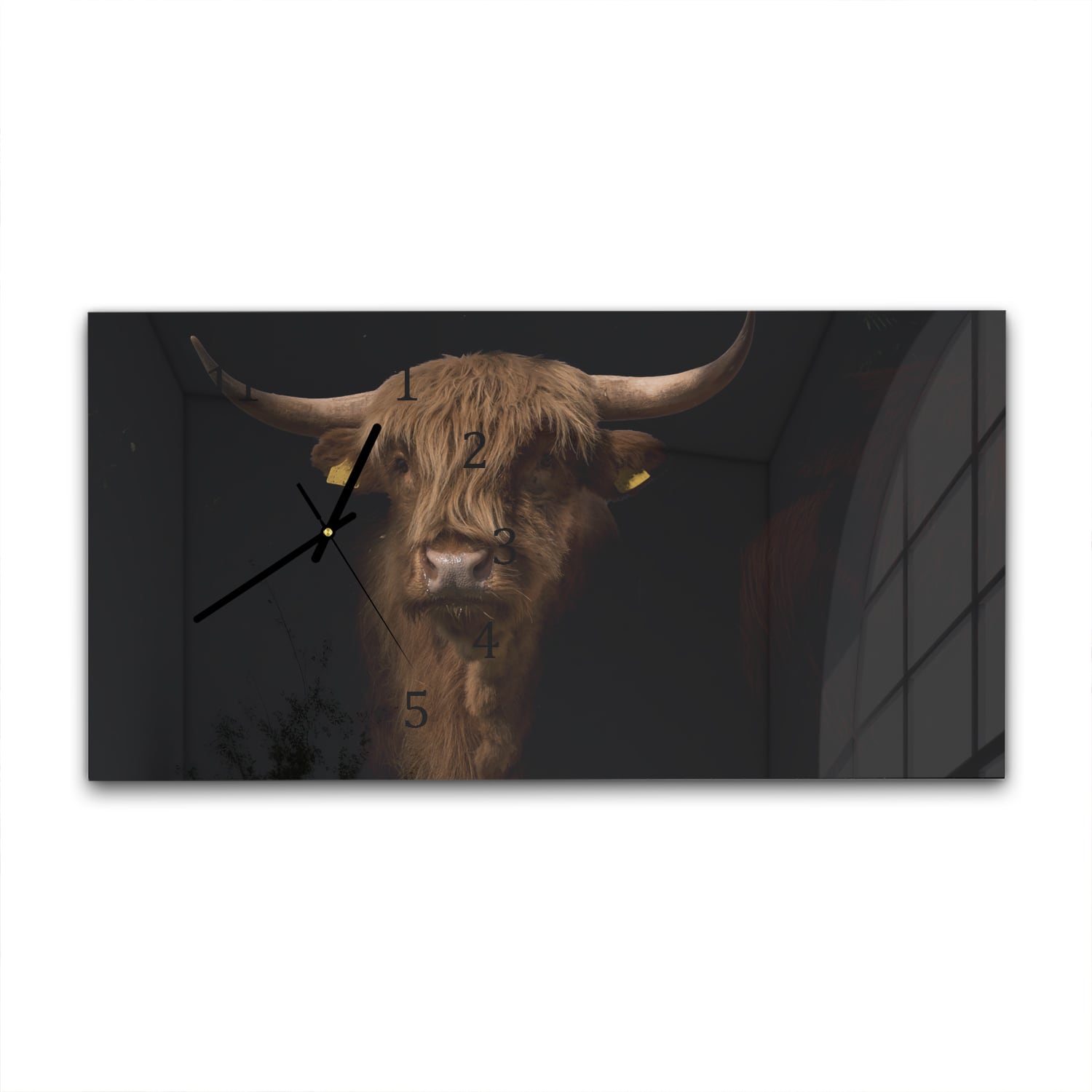Wanduhr 60x30 - Schottisches Hochlandrind im Dunkeln