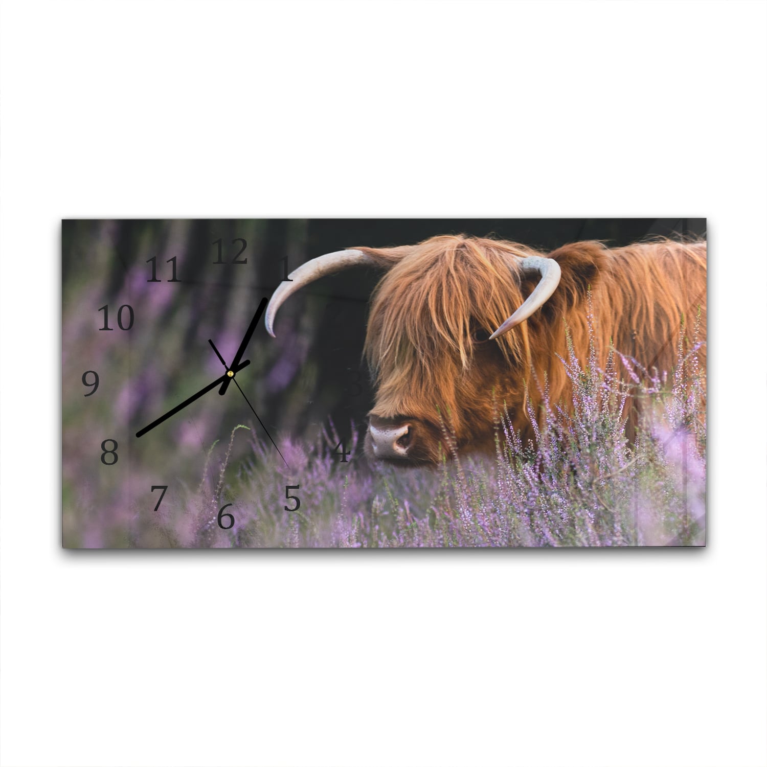 Wanduhr 60x30 - Schottisches Hochlandrind zwischen den Blumen
