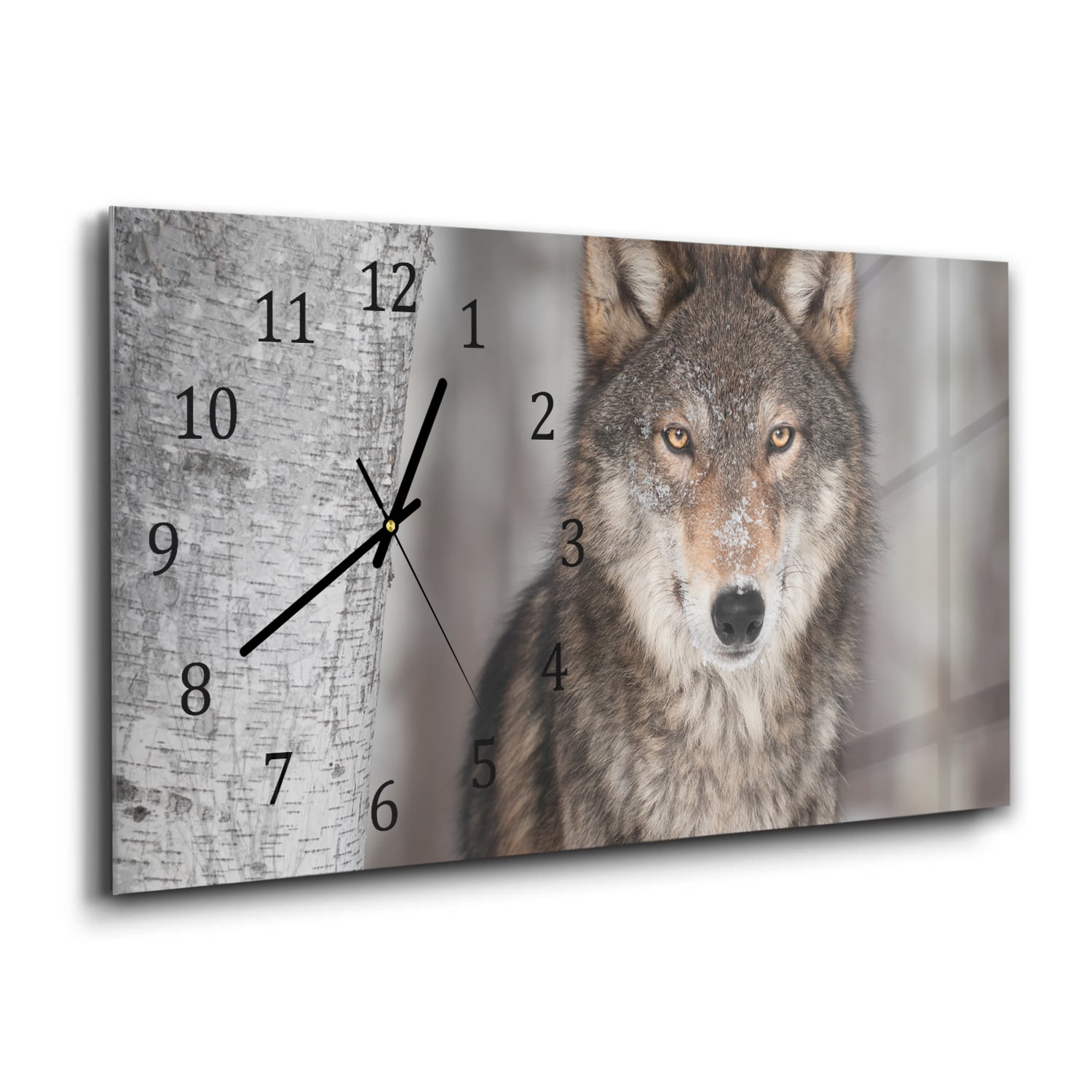 Wanduhr 60x30 - Grauer Wolf