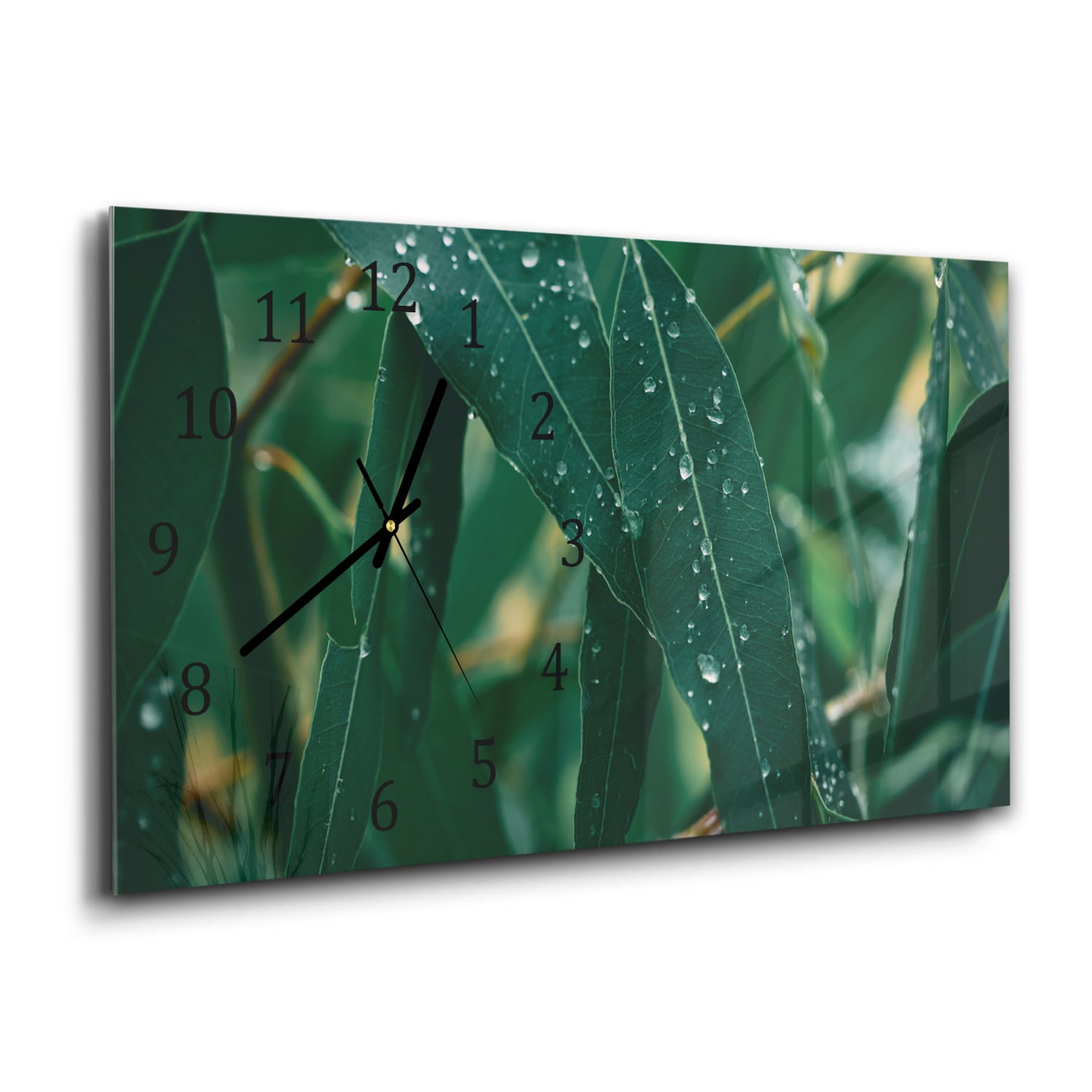 Wanduhr 60x30 - Eukalyptusblätter