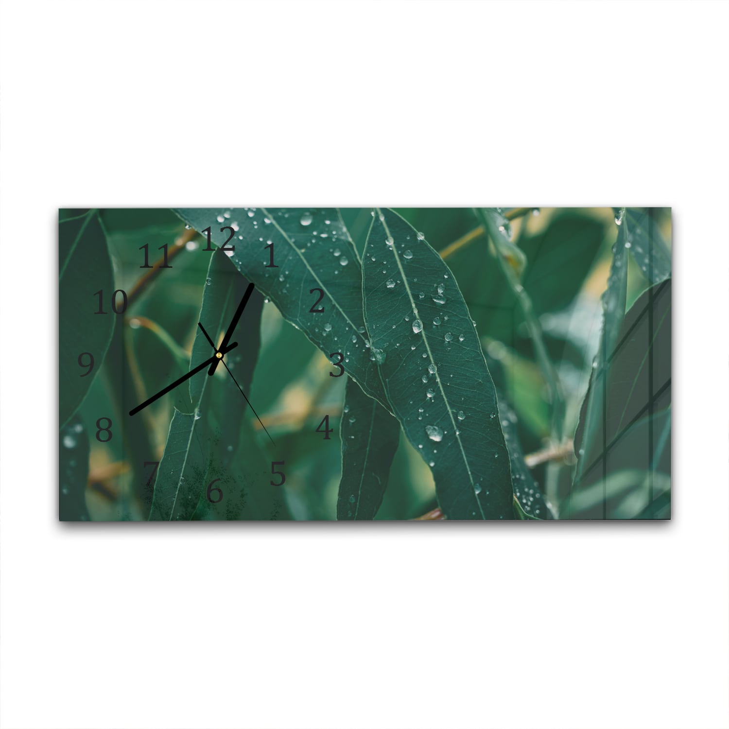 Wanduhr 60x30 - Eukalyptusblätter