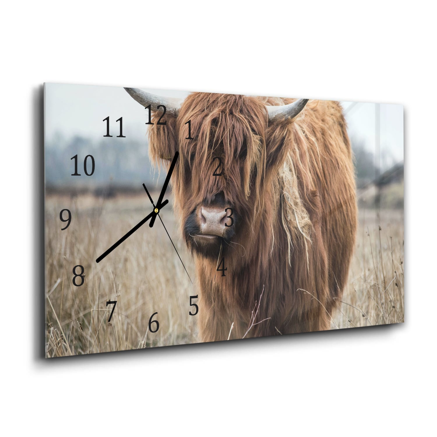 Wanduhr 60x30 - Wilde Hochlandrinder
