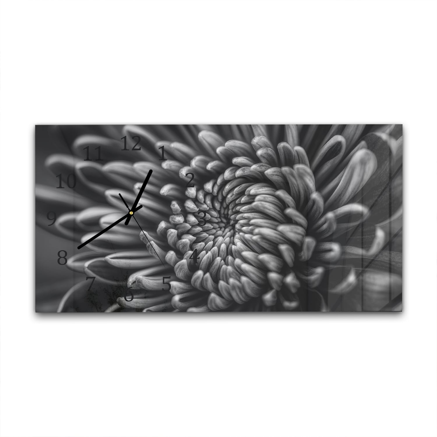 Wanduhr 60x30 - Schwarz-weiß Nahaufnahme Blume