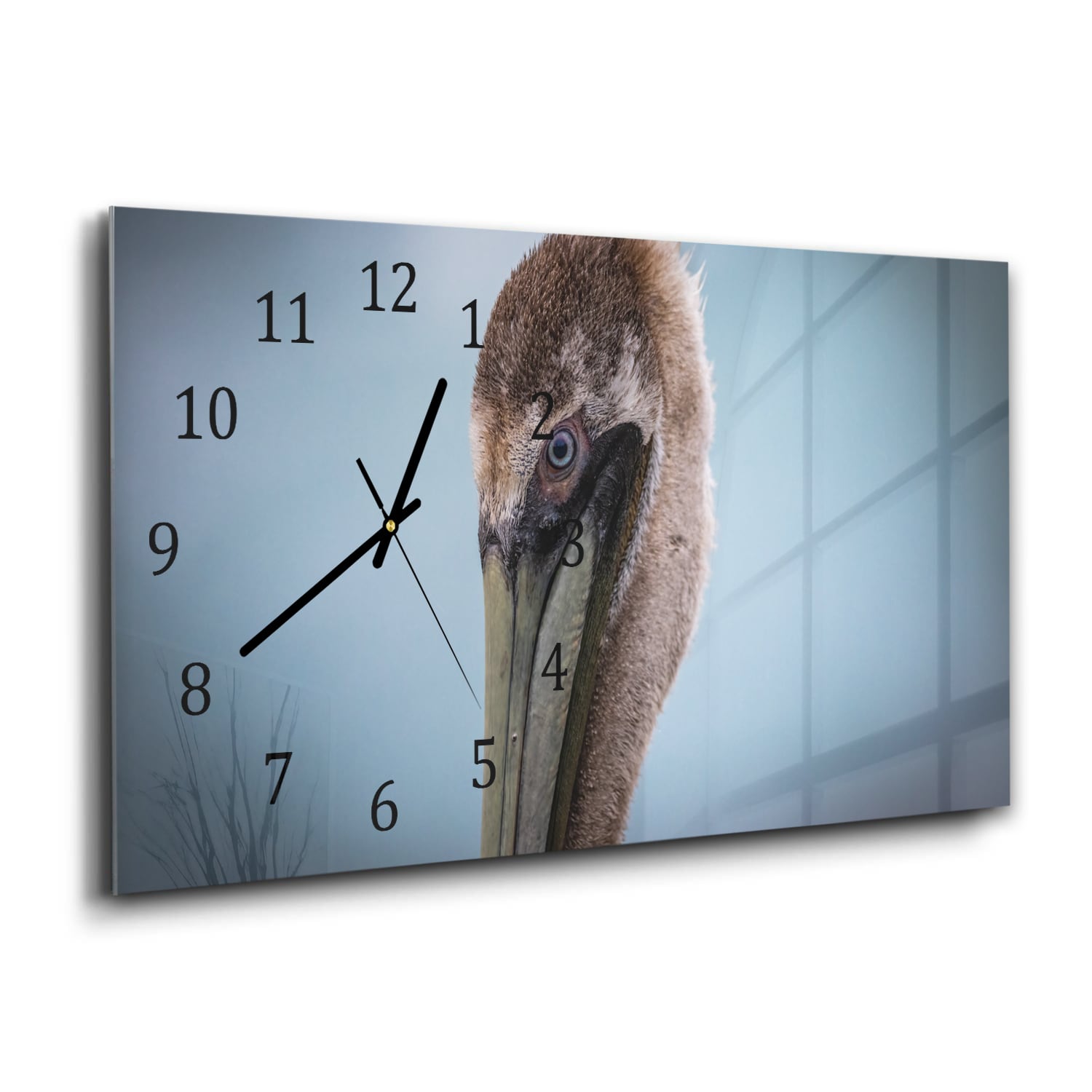 Wanduhr 60x30 - Majestätischer Pelikan