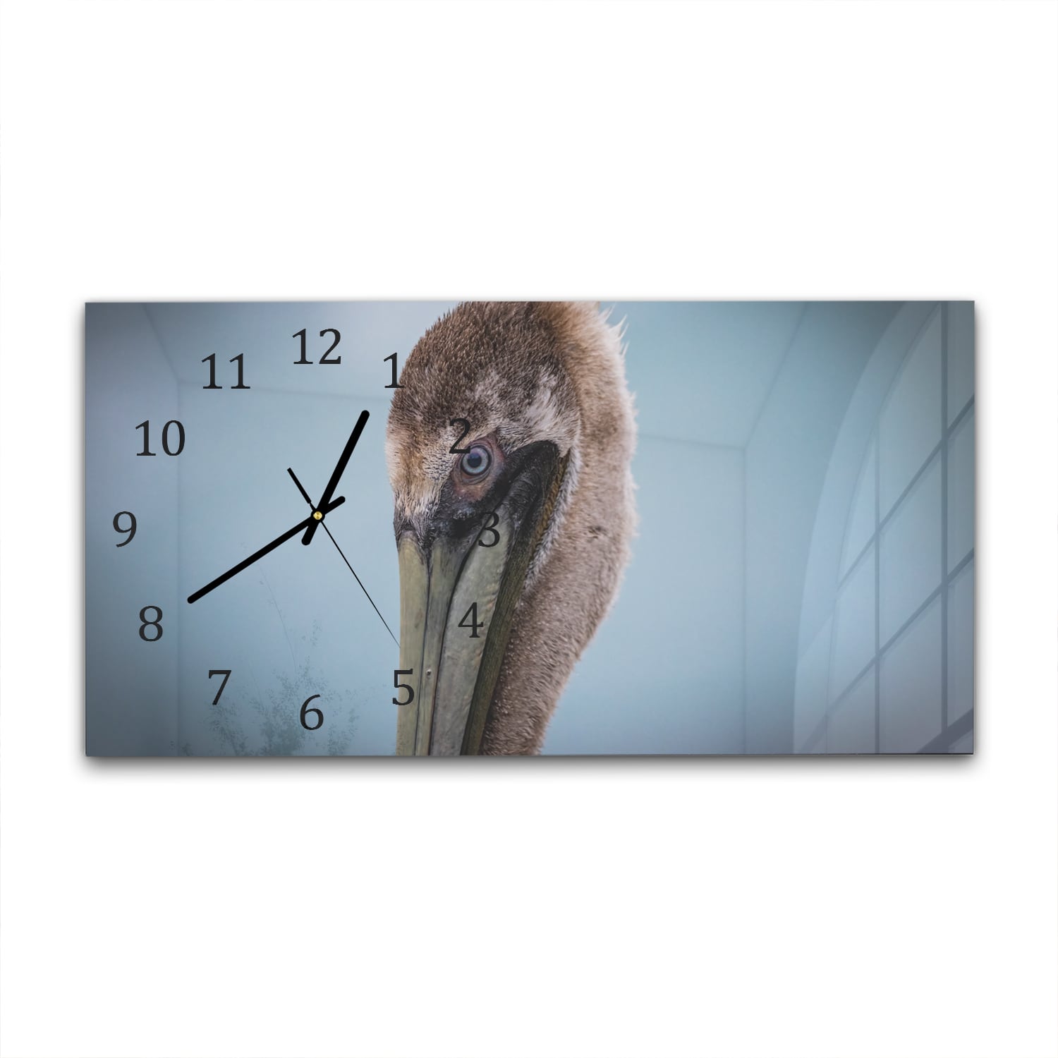 Wanduhr 60x30 - Majestätischer Pelikan