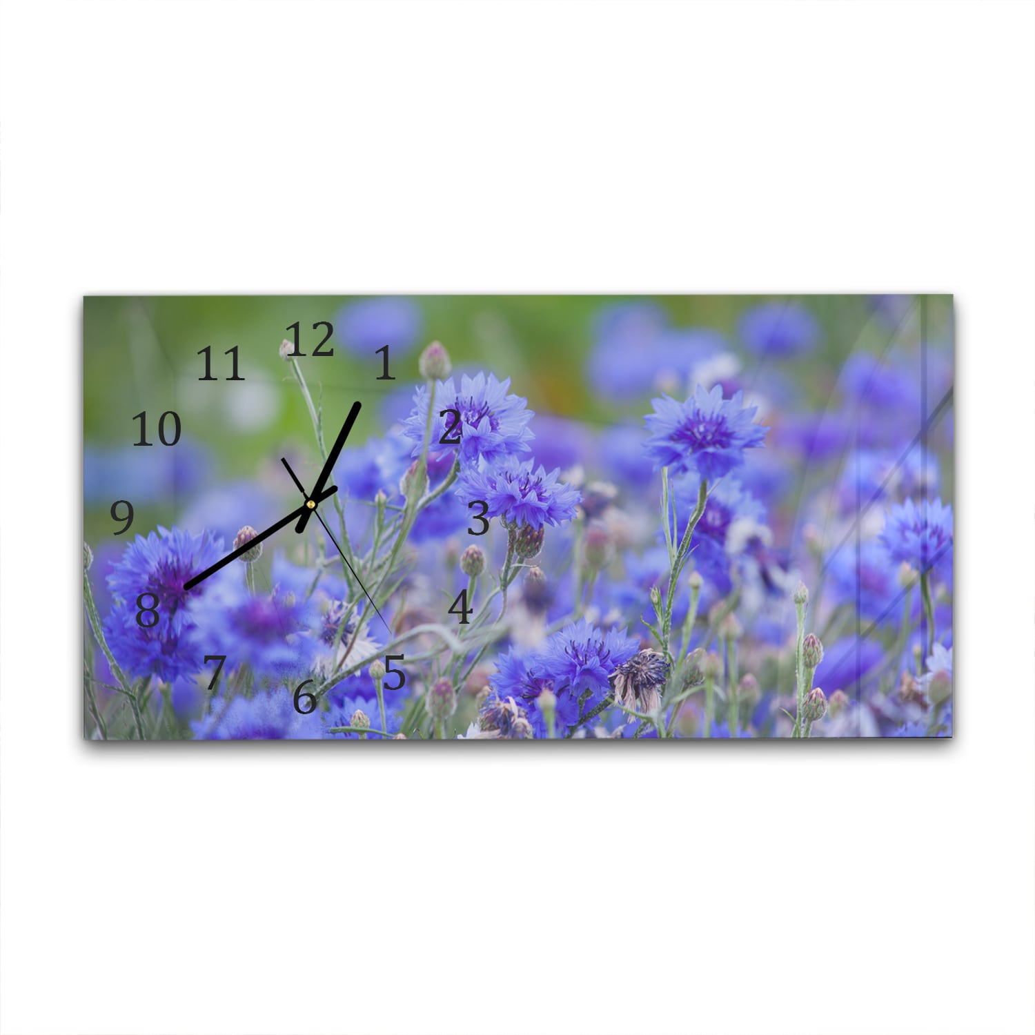Wanduhr 60x30 - Kornblumen in Blüte
