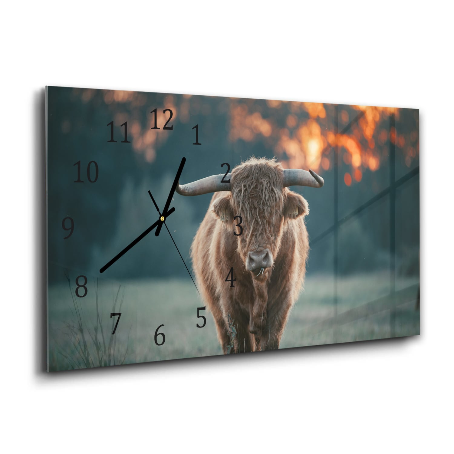Wanduhr 60x30 - Hochlandrind am Abend