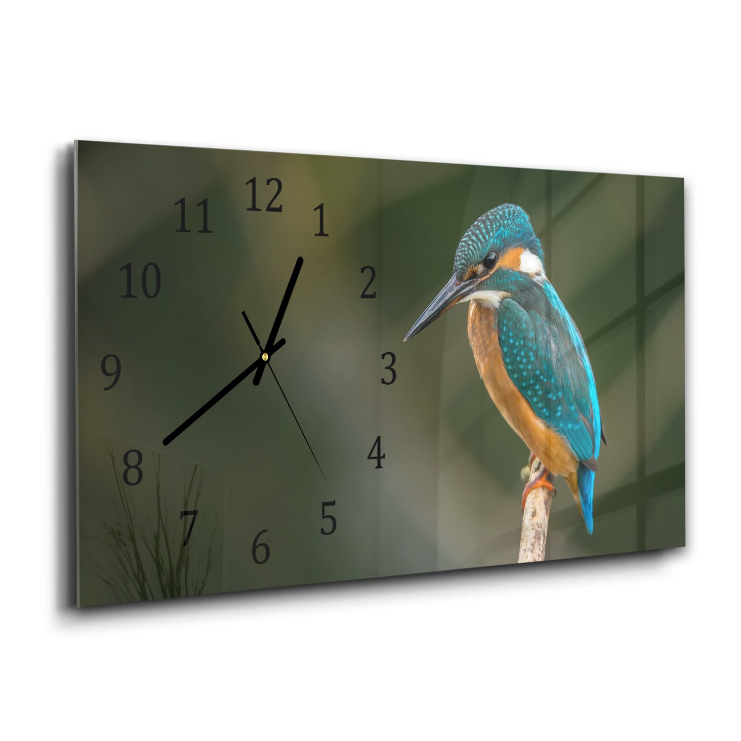 Wanduhr 60x30 - Bunter Eisvogel