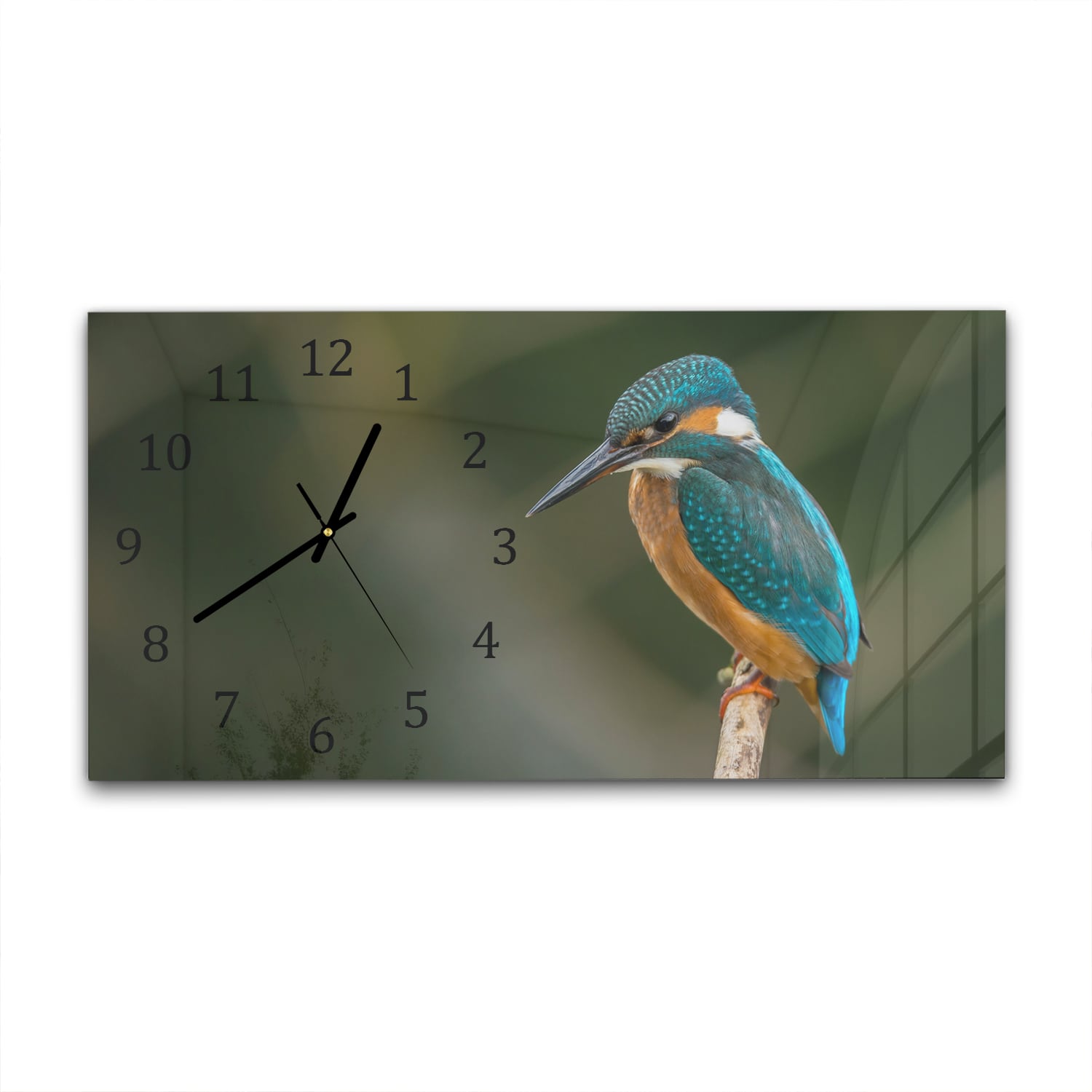 Wanduhr 60x30 - Bunter Eisvogel