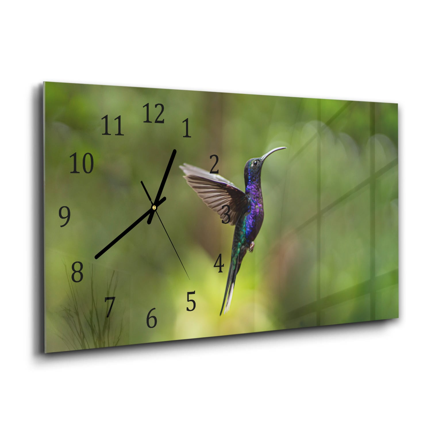 Wanduhr 60x30 - Bunter Kolibri