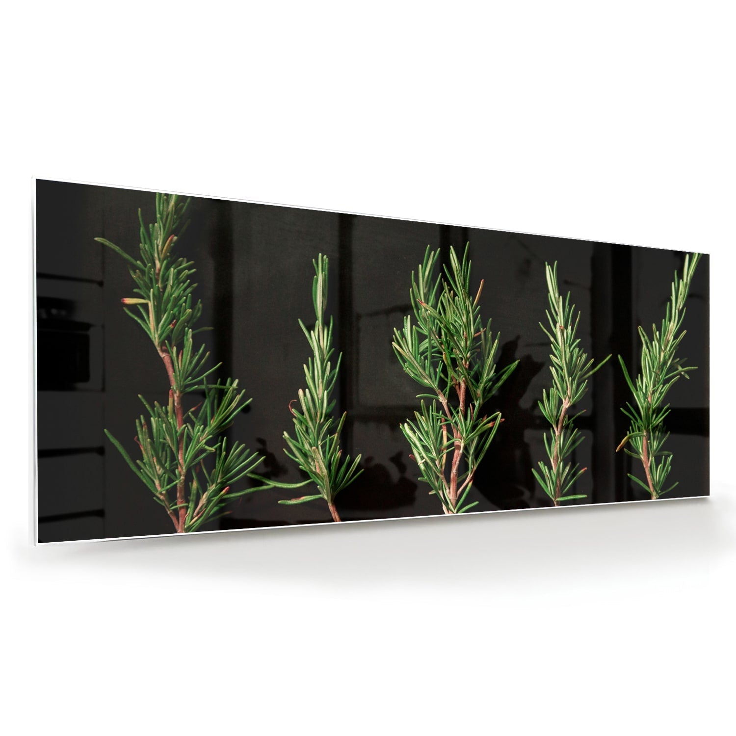 Modernes Glasbild mit grünen Ästen – Glasbild aus Sicherheitsglas, Größe 60x60