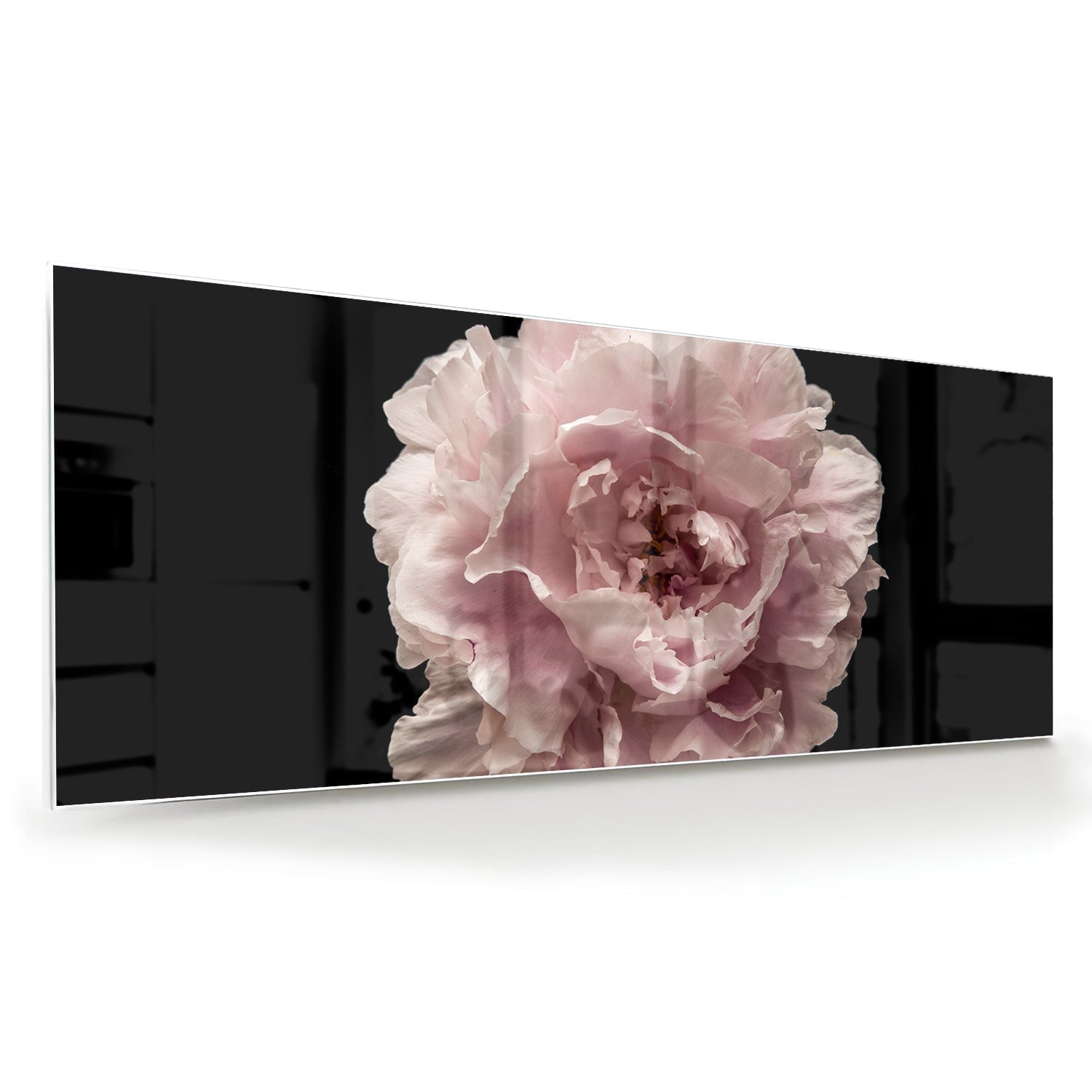 Elegantes Glasbild mit Rosenblüte auf schwarzem Hintergrund – perfekt für Ihr Interieur – Glasbild aus Sicherheitsglas, Größe 60x60