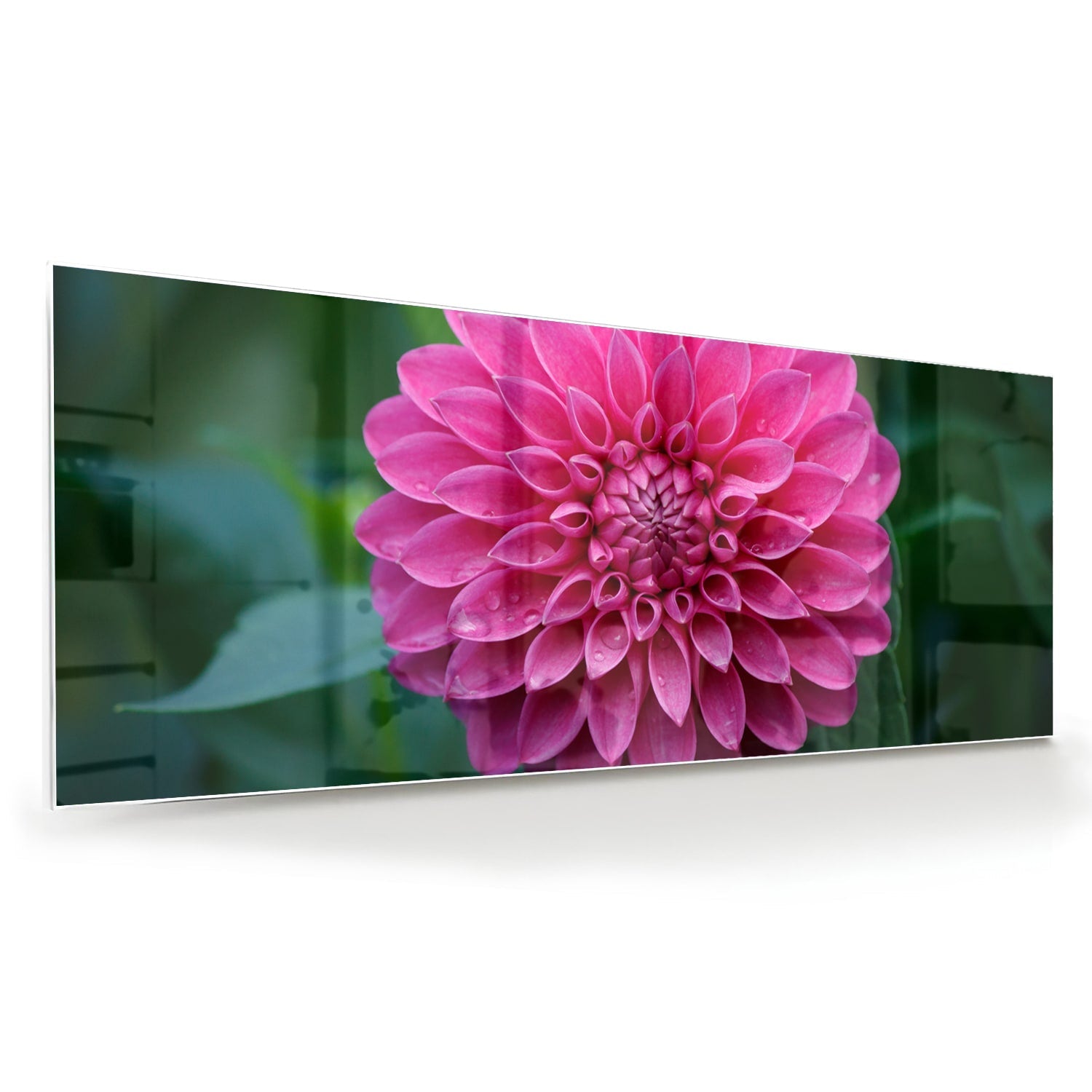 Wunderschönes Glasbild mit rosa Blume – Glasbild aus Sicherheitsglas, Größe 60x60