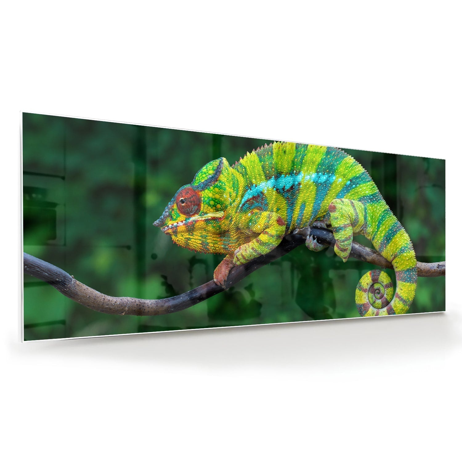 Farbenfrohes Glasbild mit einem Chamäleon – Glasbild aus Sicherheitsglas, Größe 60x60
