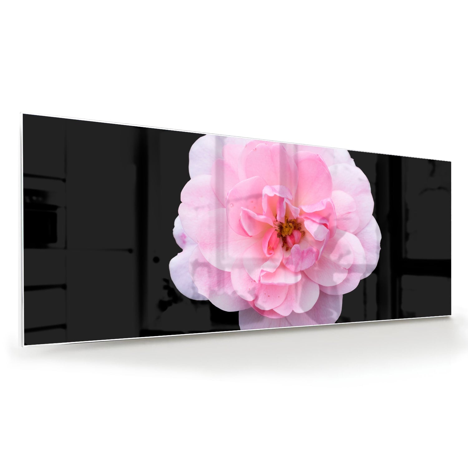 Elegantes Glasbild mit rosa Blume auf schwarzem Hintergrund – Glasbild aus Sicherheitsglas, Größe 60x60