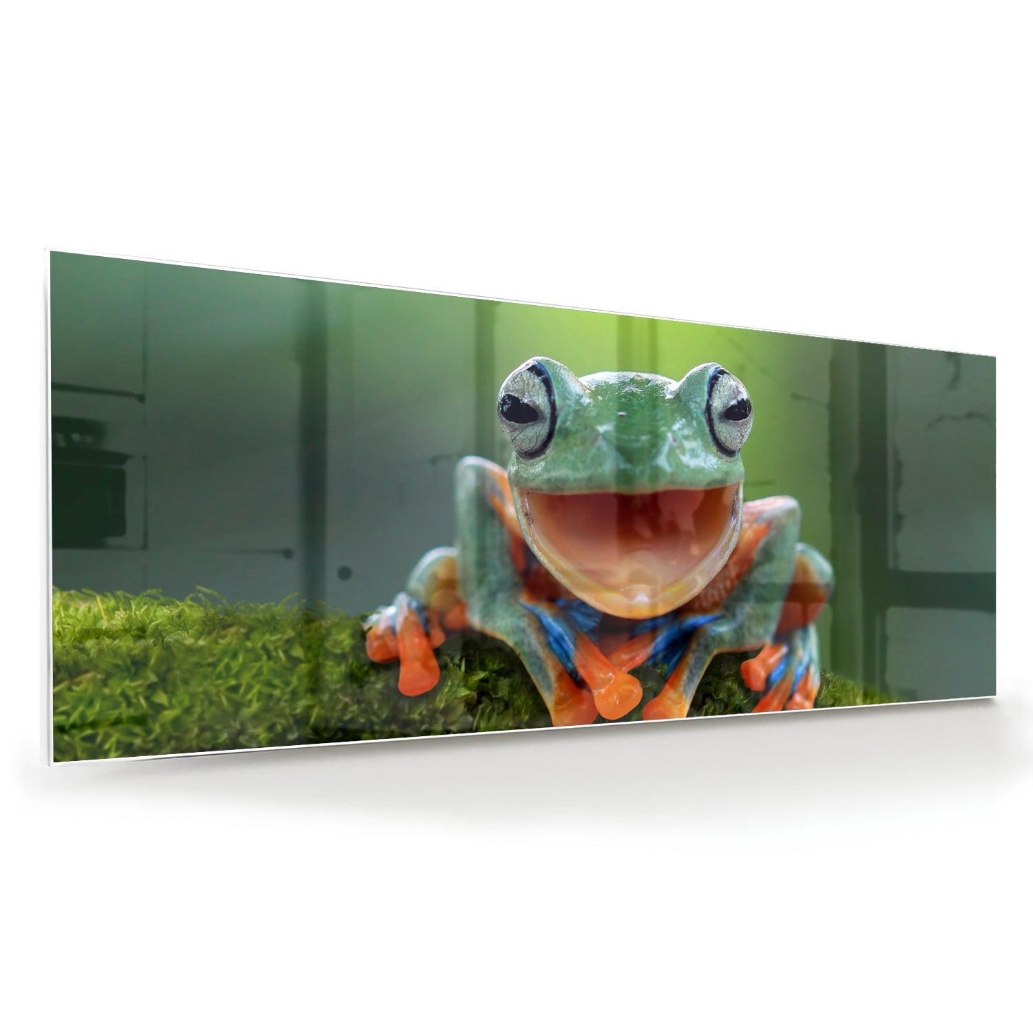 Fröhliches Glasbild mit Laubfrosch – Glasbild aus Sicherheitsglas, Größe 60x60