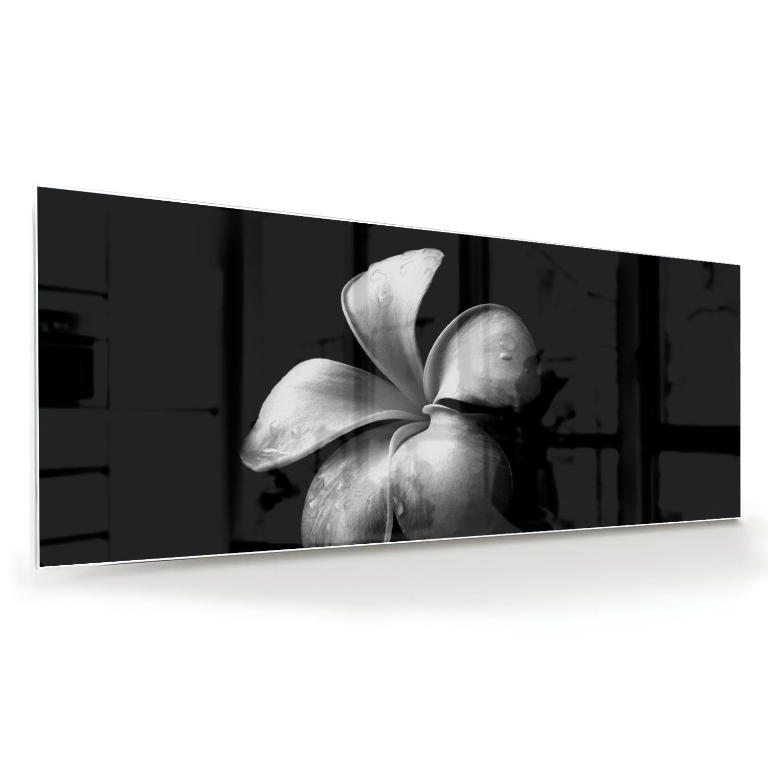Elegantes schwarzes Glasbild mit Blumenmotiv – Glasbild aus Sicherheitsglas, Größe 60x60