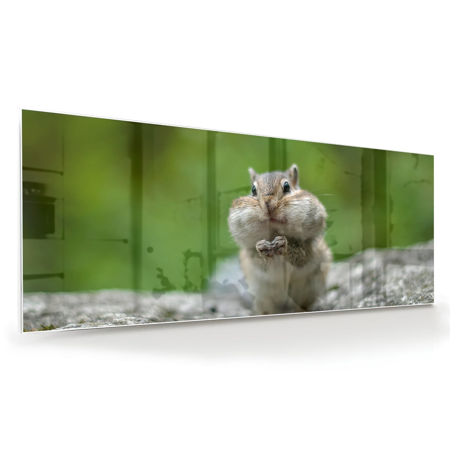 Niedliches Glasbild mit Eichhörnchen – Glasbild aus Sicherheitsglas, Größe 60x60