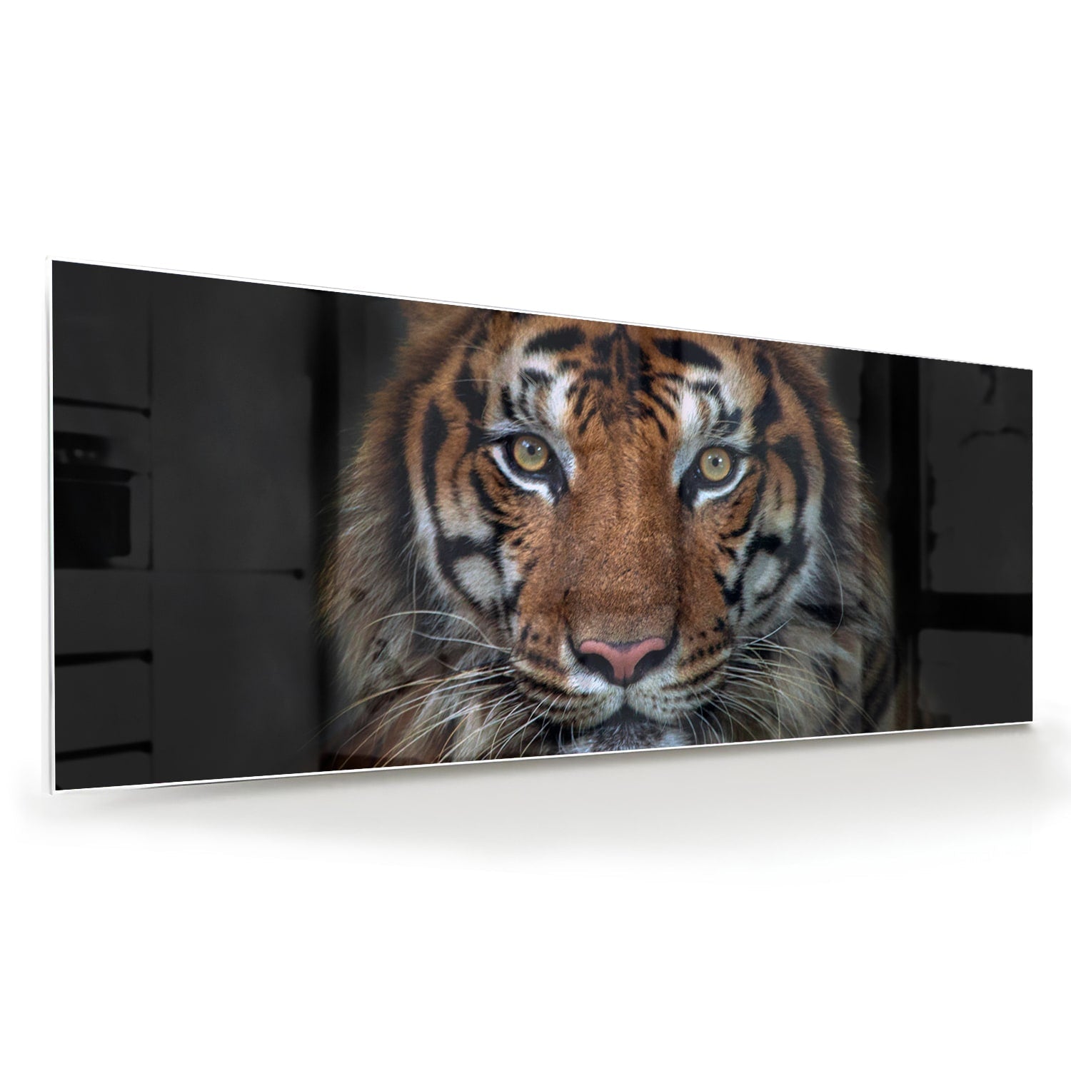 Kraftvoller Tiger – Glasbild für Ihr Interieur – Glasbild aus Sicherheitsglas, Größe 60x60