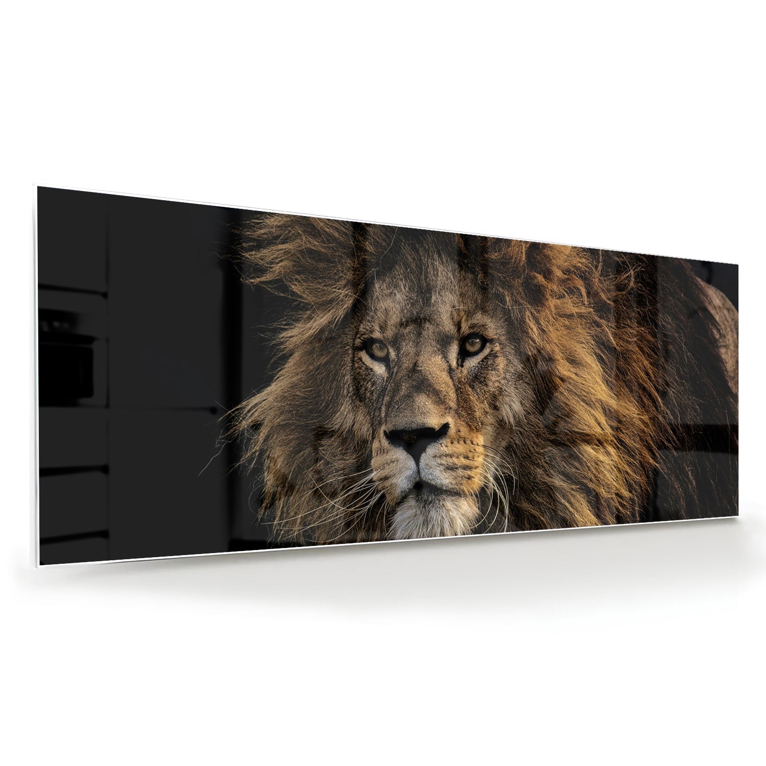 Glasbild mit majestätischem Löwen – Glasbild aus Sicherheitsglas, Größe 60x60