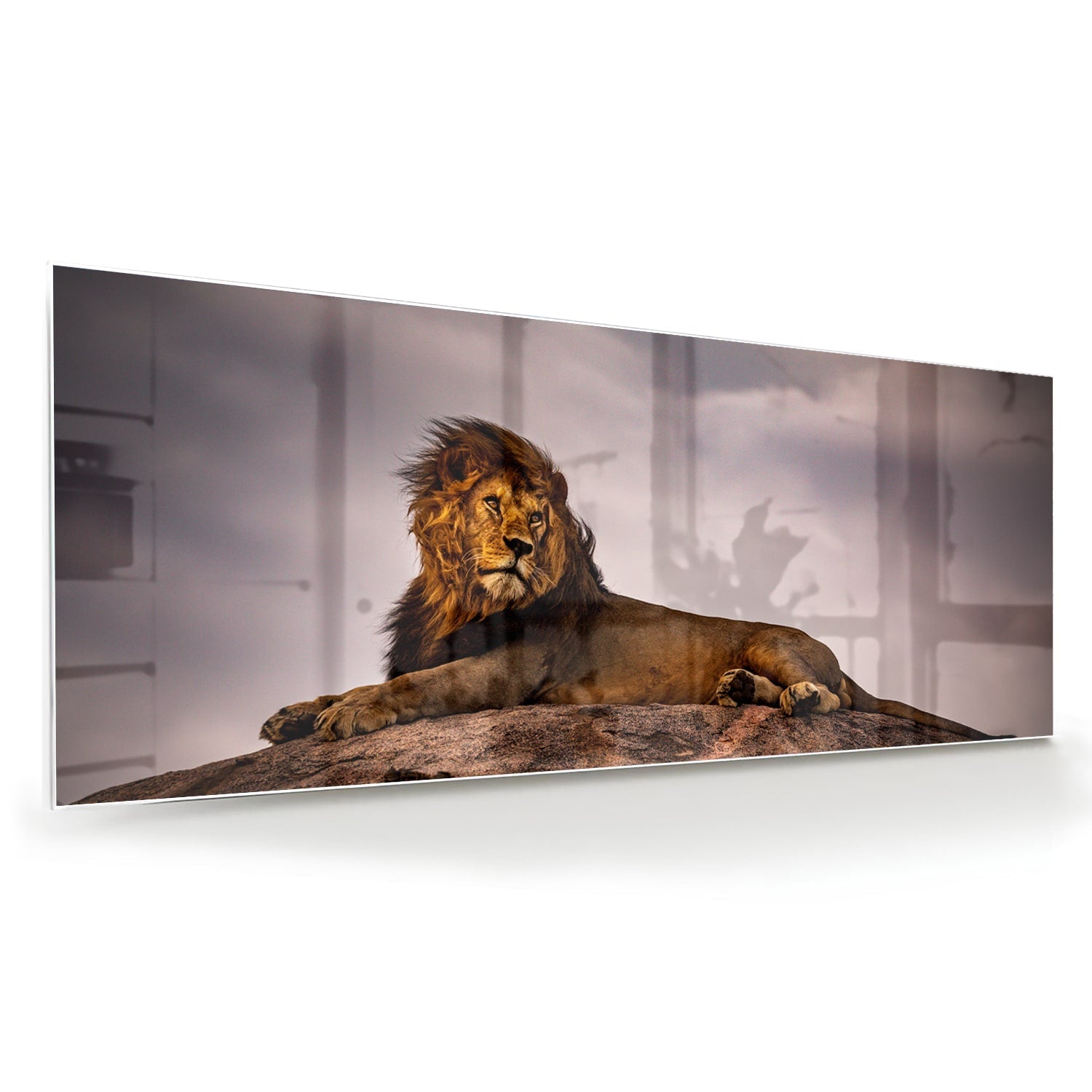 Glasbild – Majestätischer Löwe – Glasbild aus Sicherheitsglas, Größe 60x60