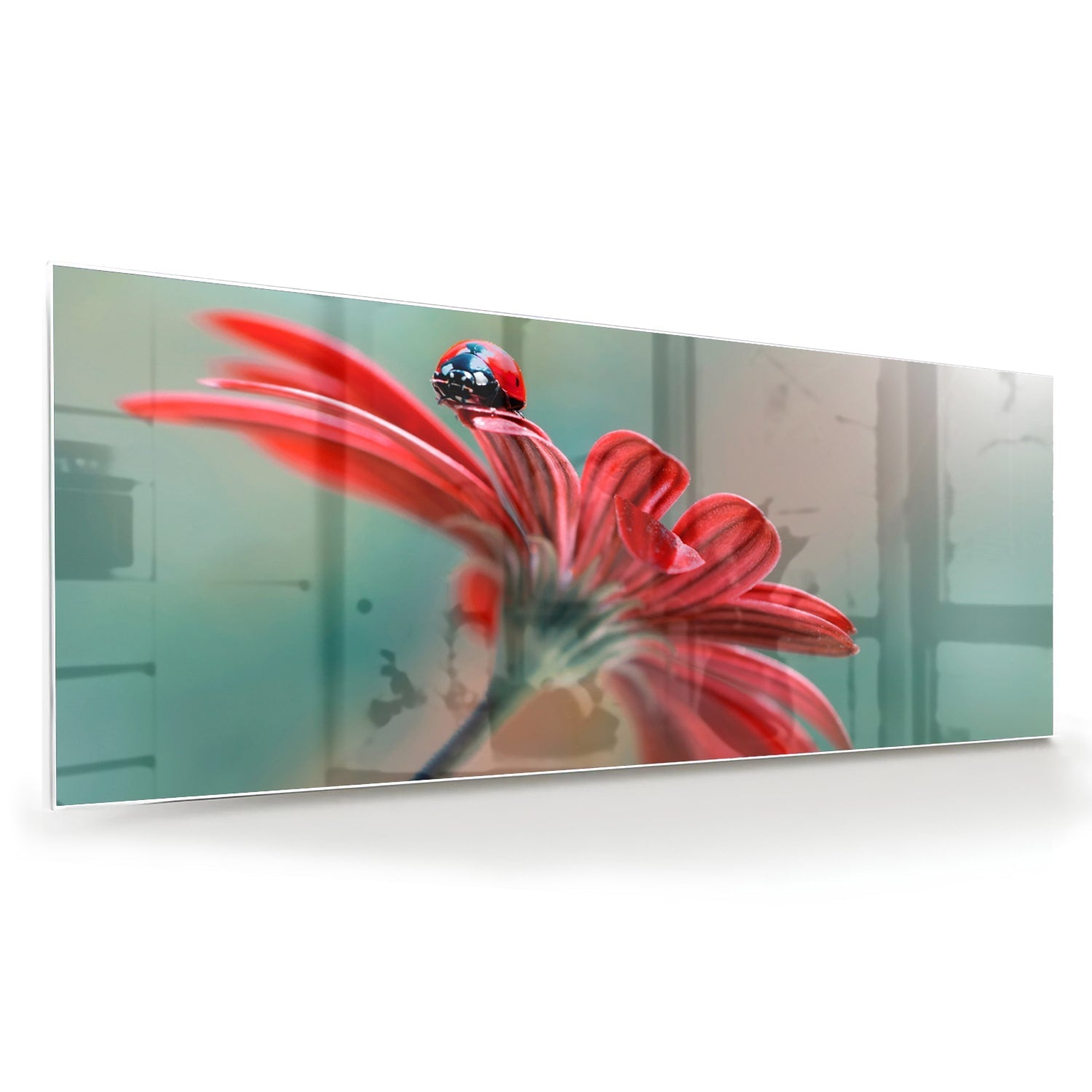 Glasbild mit einer Blume und einem Marienkäfer – Glasbild aus Sicherheitsglas, Größe 60x60