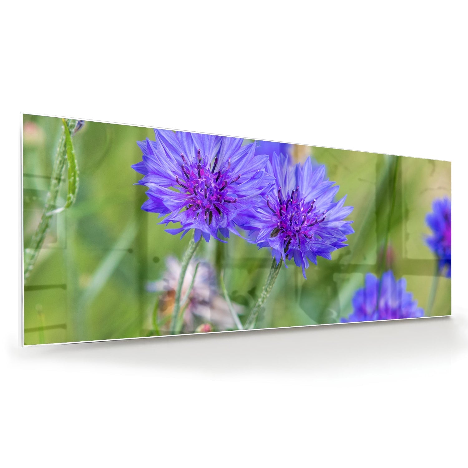 Glasbild mit violetten Blumen für moderne Einrichtungen – Glasbild aus Sicherheitsglas, Größe 60x60