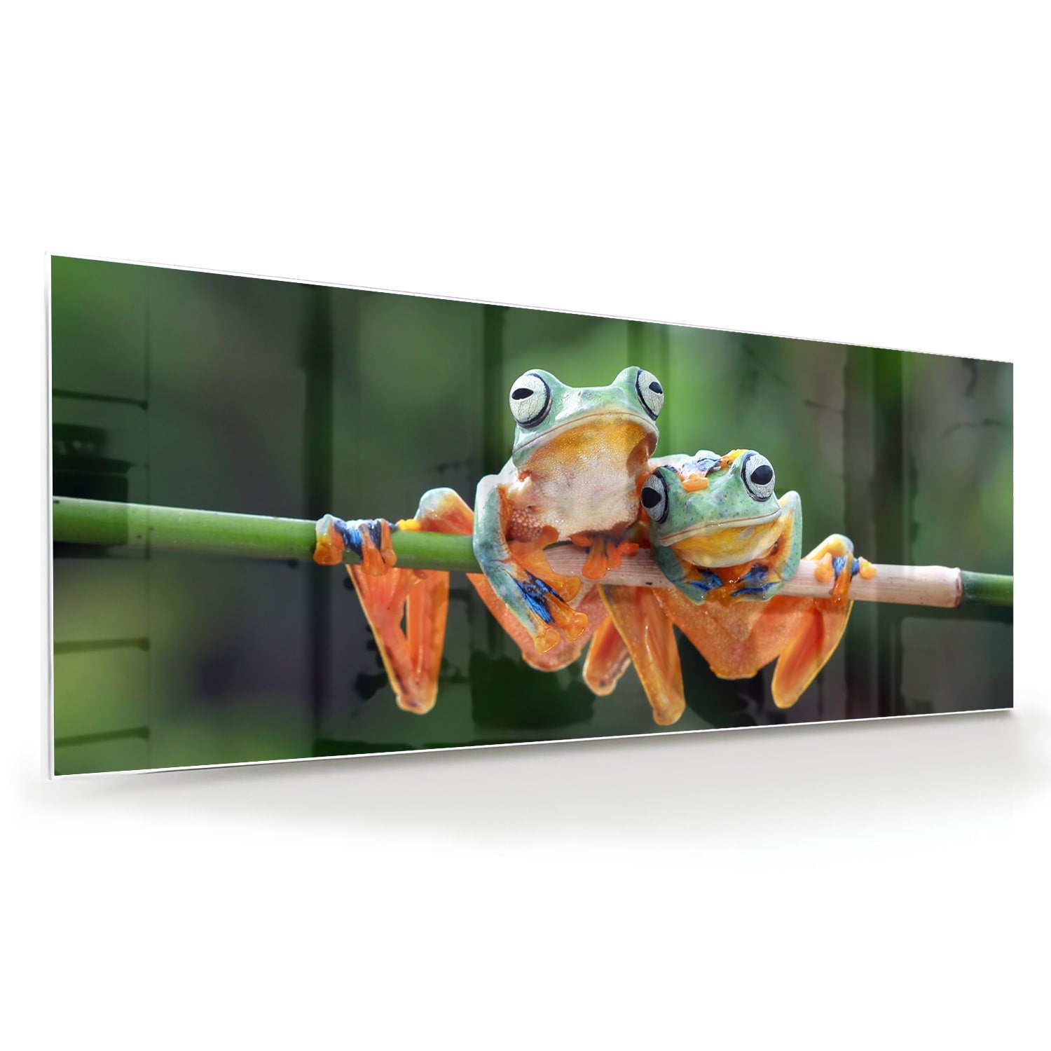 Fröhliches Glasbild mit Frosch auf einem Ast – Glasbild aus Sicherheitsglas, Größe 60x60