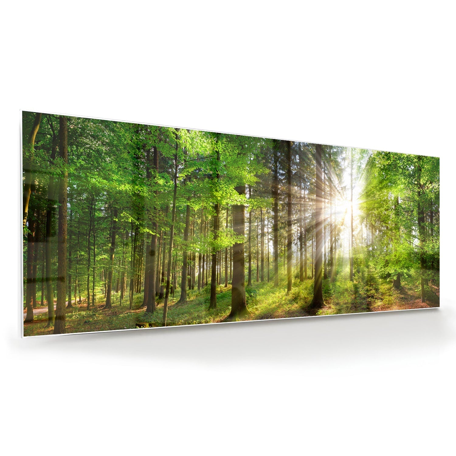 Glasbild mit sonnigem Wald für die Wohndekoration – Glasbild aus Sicherheitsglas, Größe 60x60