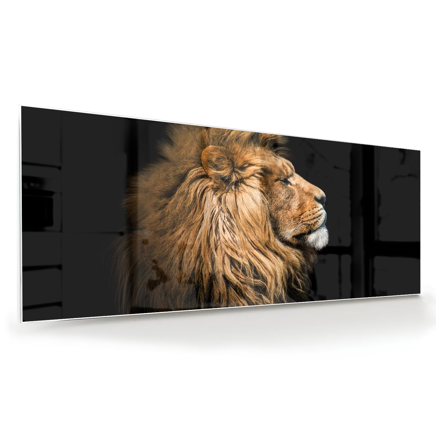 Glasbild mit majestätischem Löwen – Glasbild aus Sicherheitsglas, Größe 60x60