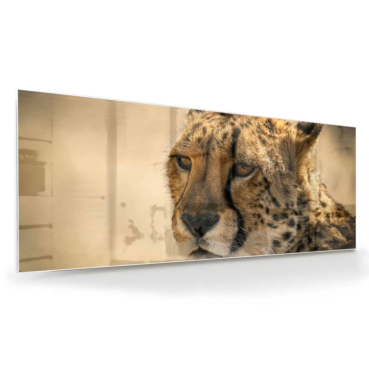 Elegantes Glasbild mit einem Leoparden – Glasbild aus Sicherheitsglas, Größe 60x60