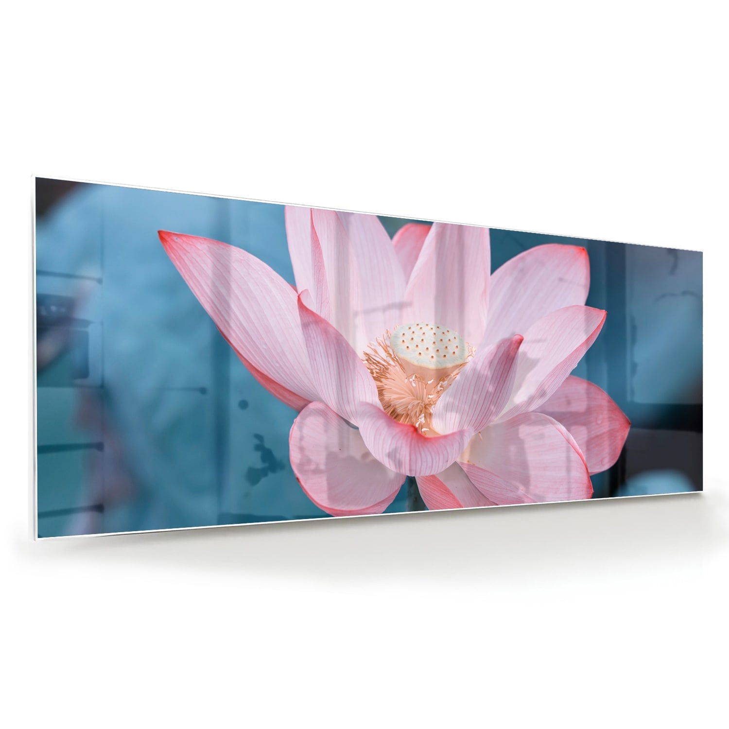 Wunderschönes Glasbild mit rosa Lotus – Glasbild aus Sicherheitsglas, Größe 60x60