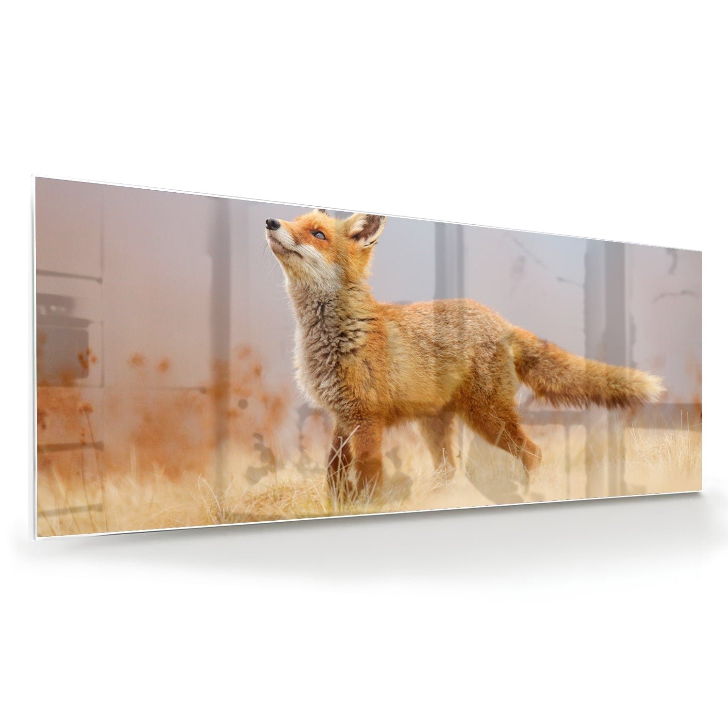 Stilvolles Glasbild mit einem Fuchs in der Natur – Glasbild aus Sicherheitsglas, Größe 60x60