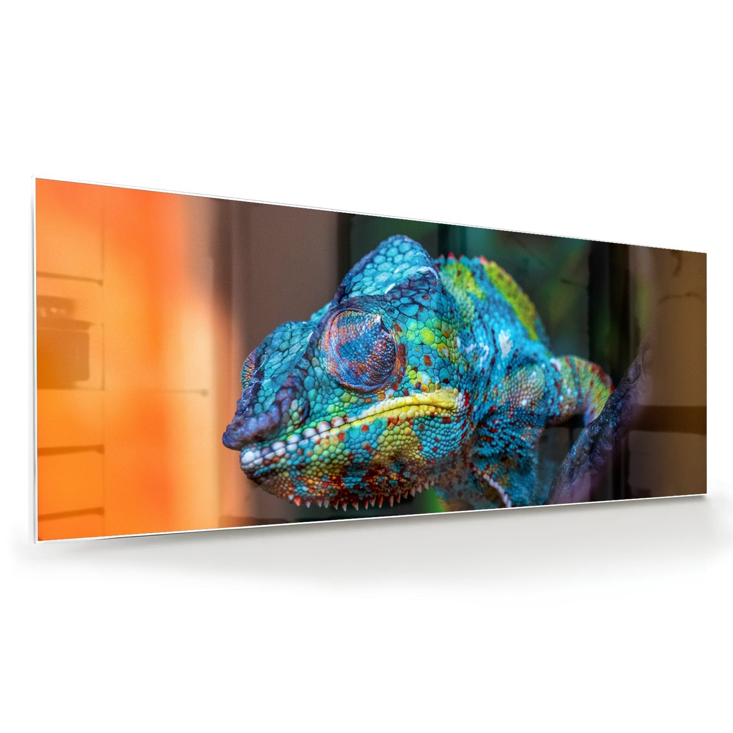 Farbenfrohes Chamäleon-Glasbild für Ihr Interieur – Glasbild aus Sicherheitsglas, Größe 60x60