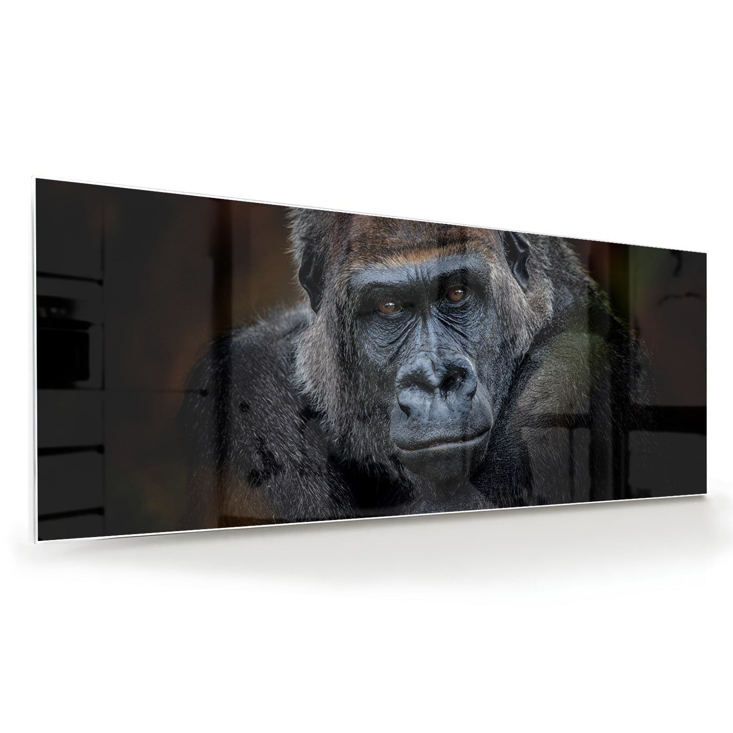 Beeindruckendes Glasbild mit einem Gorilla – Glasbild aus Sicherheitsglas, Größe 60x60