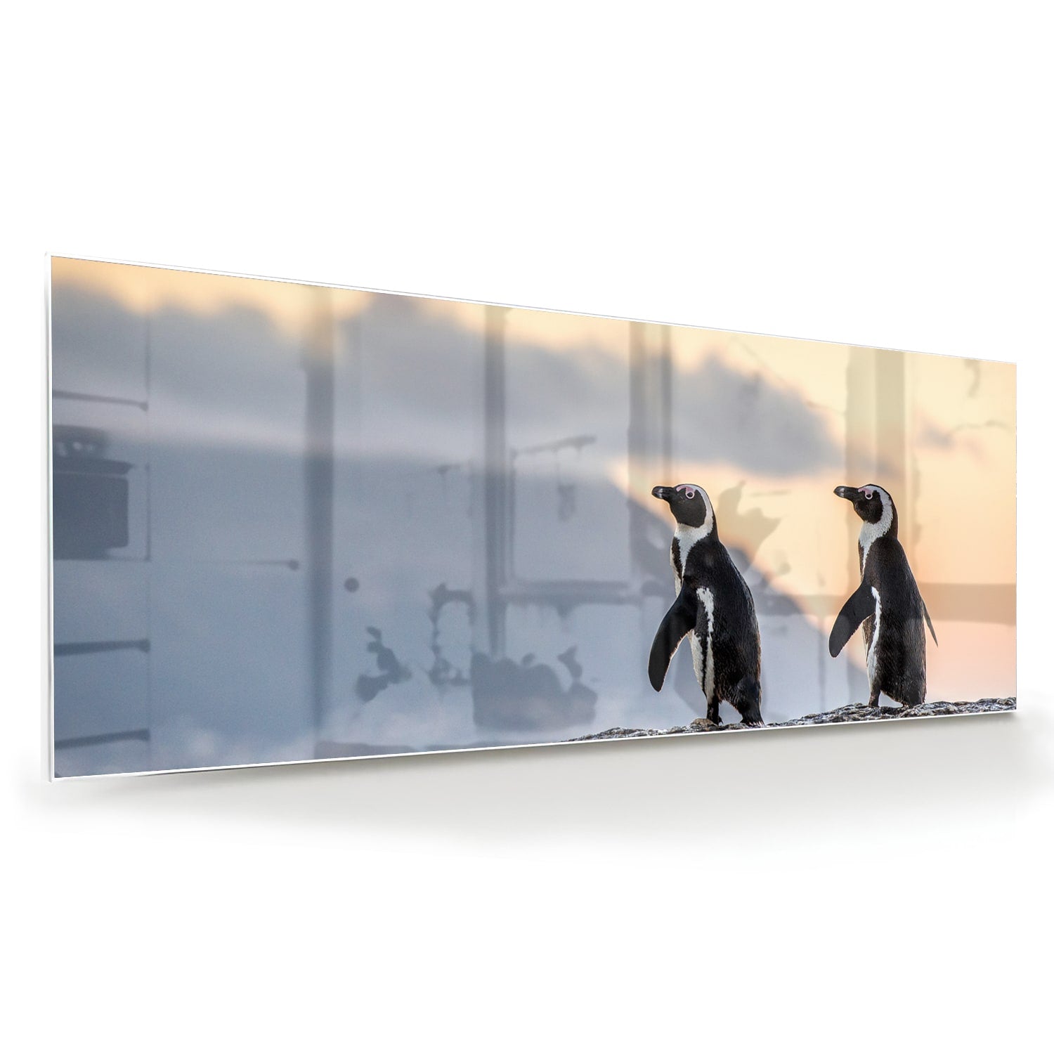 Glasbild mit Pinguinen bei Sonnenuntergang – Glasbild aus Sicherheitsglas, Größe 60x60